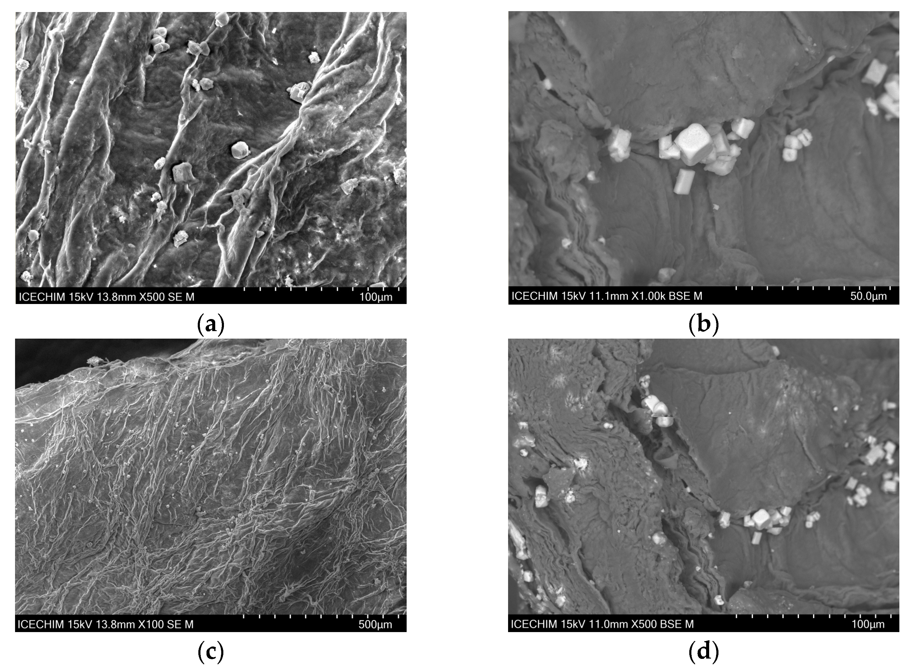 Catalysts 13 01431 g005 Catalysts 13 01431 g005