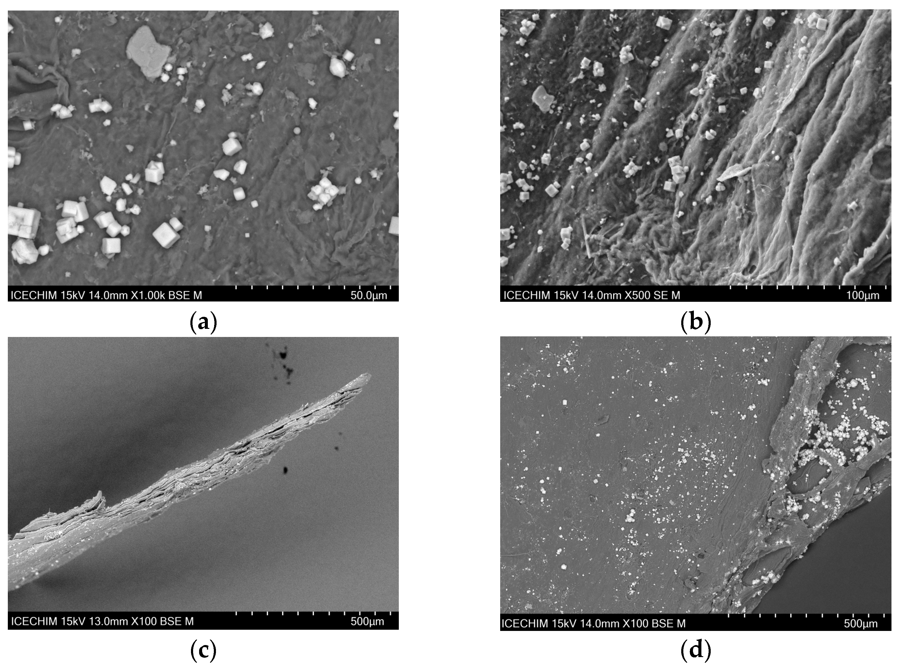 Catalysts 13 01431 g006 Catalysts 13 01431 g006
