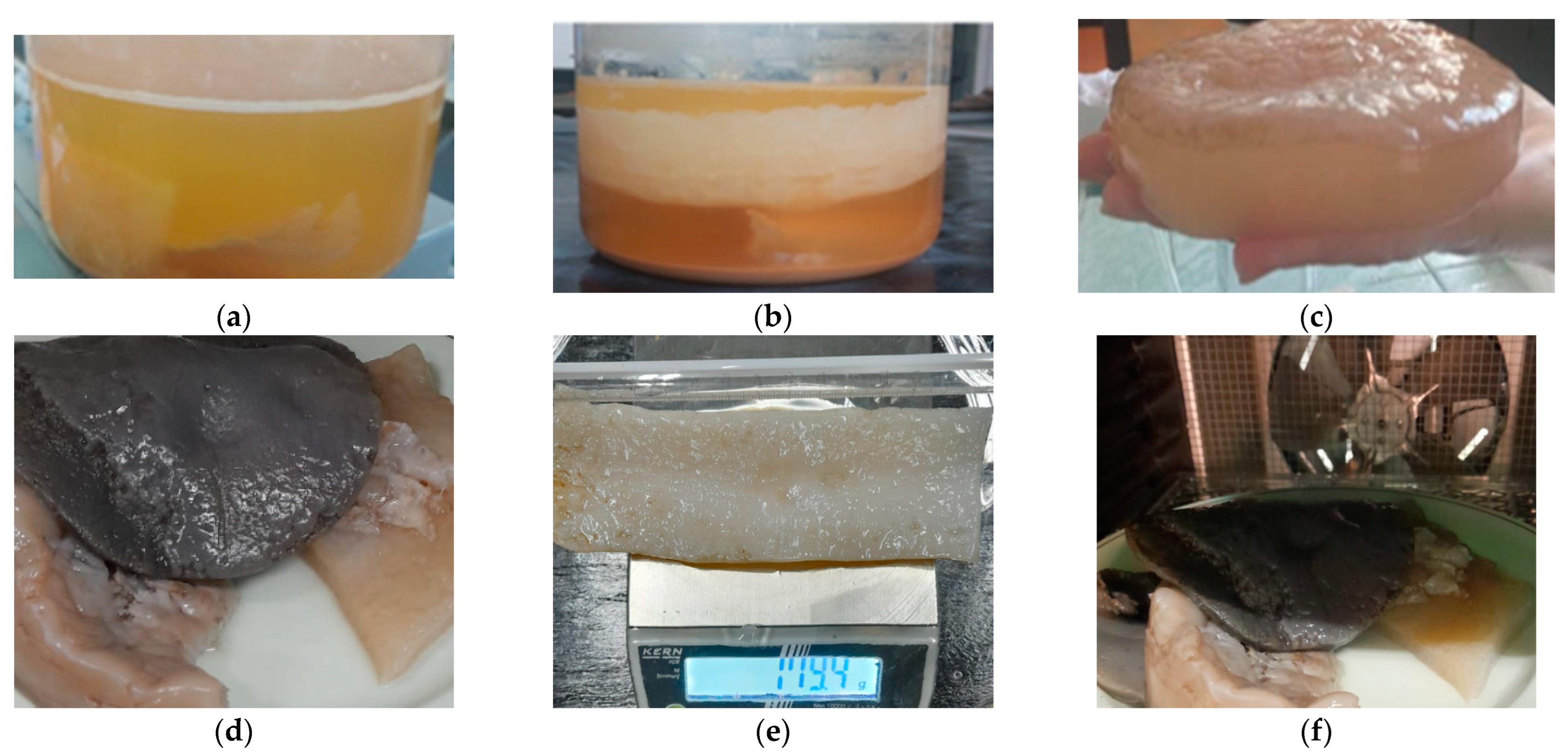 Catalysts 13 01431 g014 Catalysts 13 01431 g014