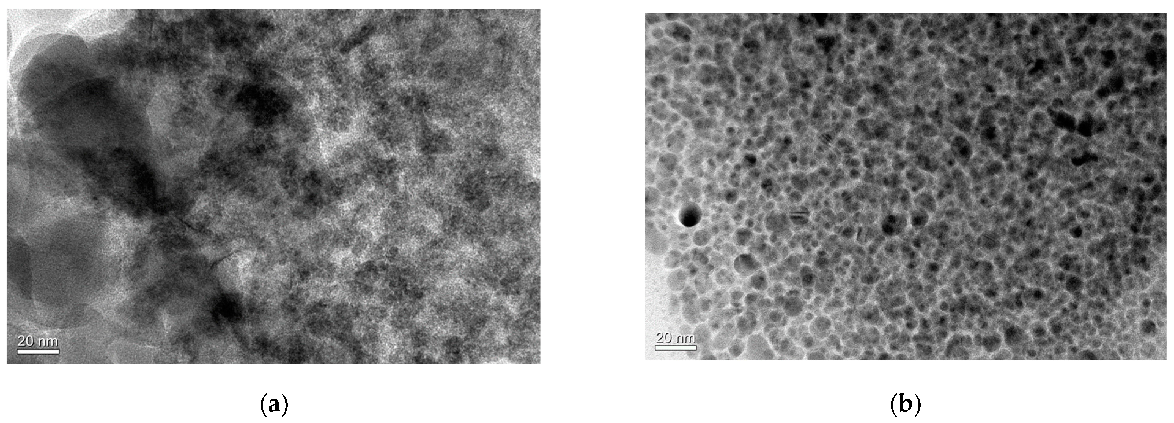 Catalysts 13 01432 g003