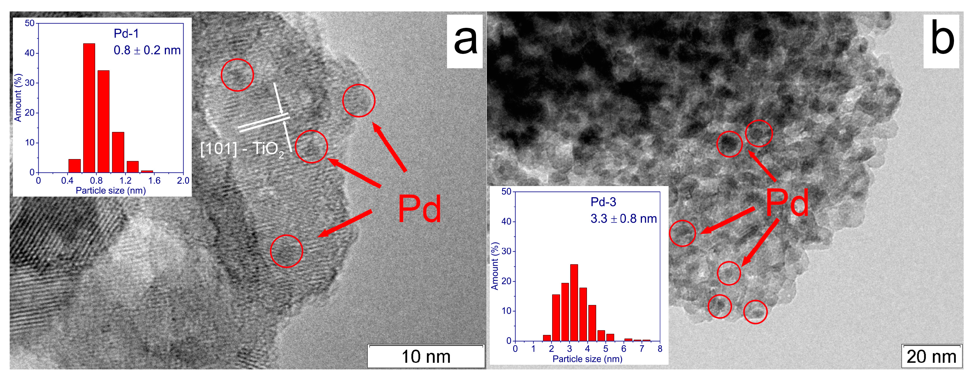 Catalysts 13 01435 g001