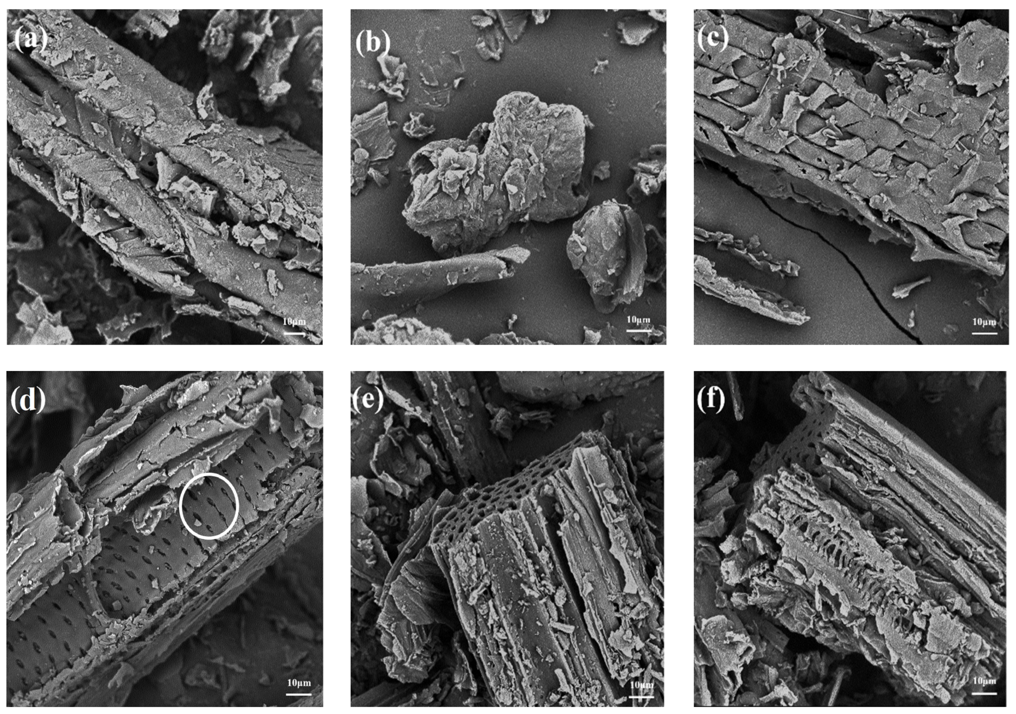 Catalysts 13 01436 g002