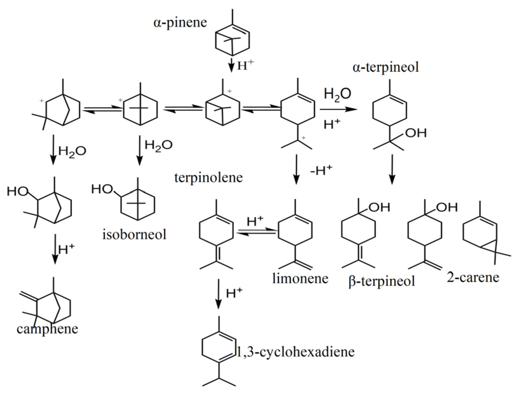 Catalysts 13 01436 sch001