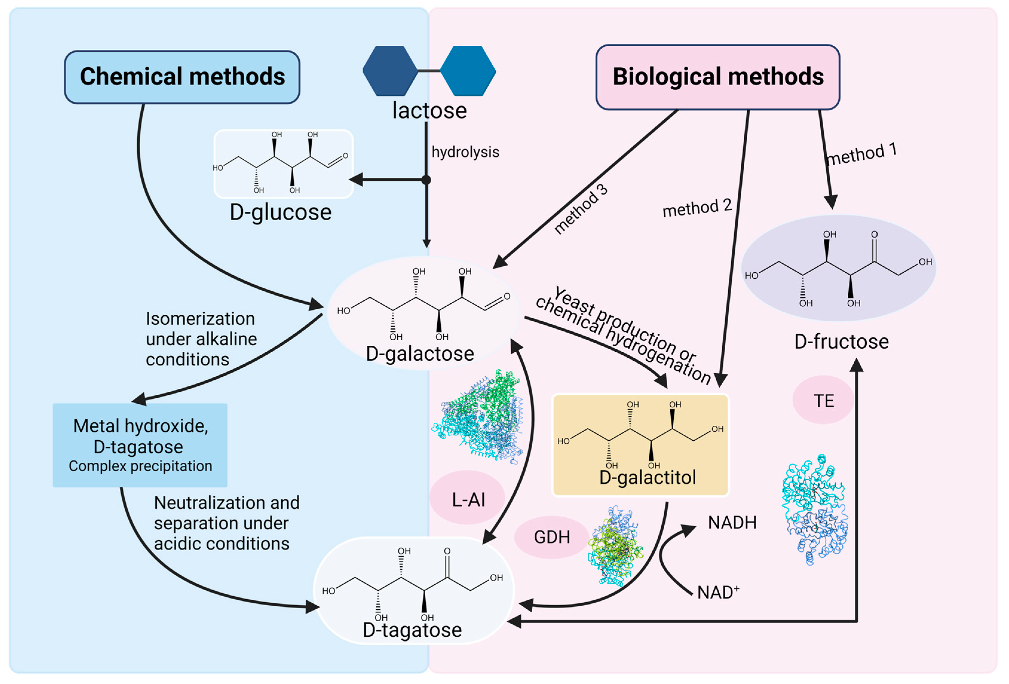 Catalysts 13 01437 g003