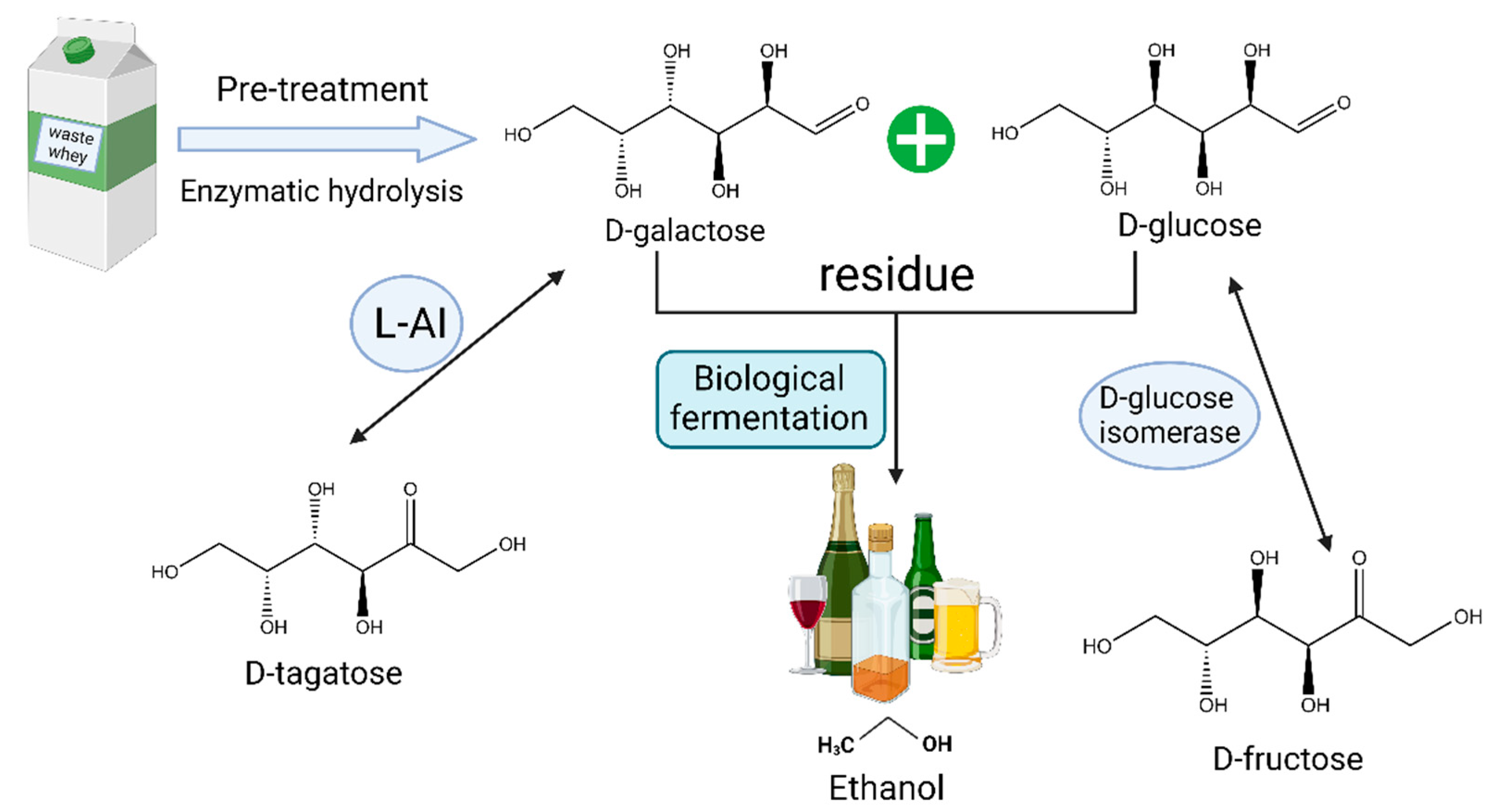 Catalysts 13 01437 g005