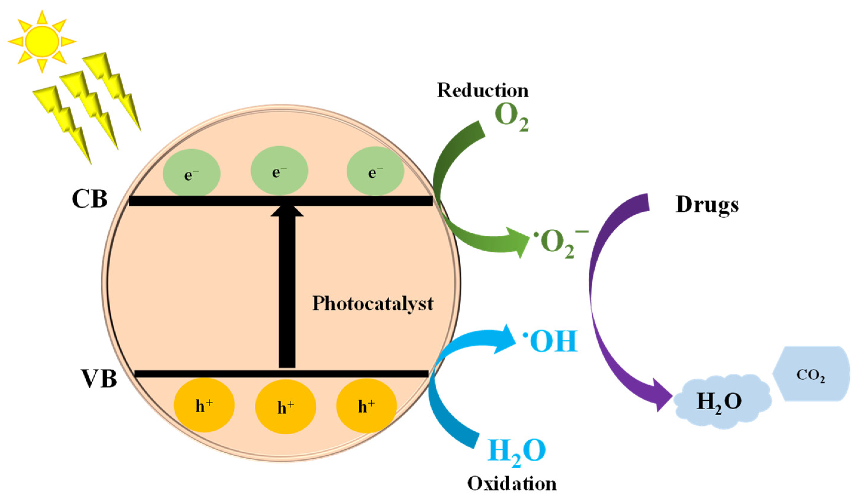 Catalysts 13 01440 g002