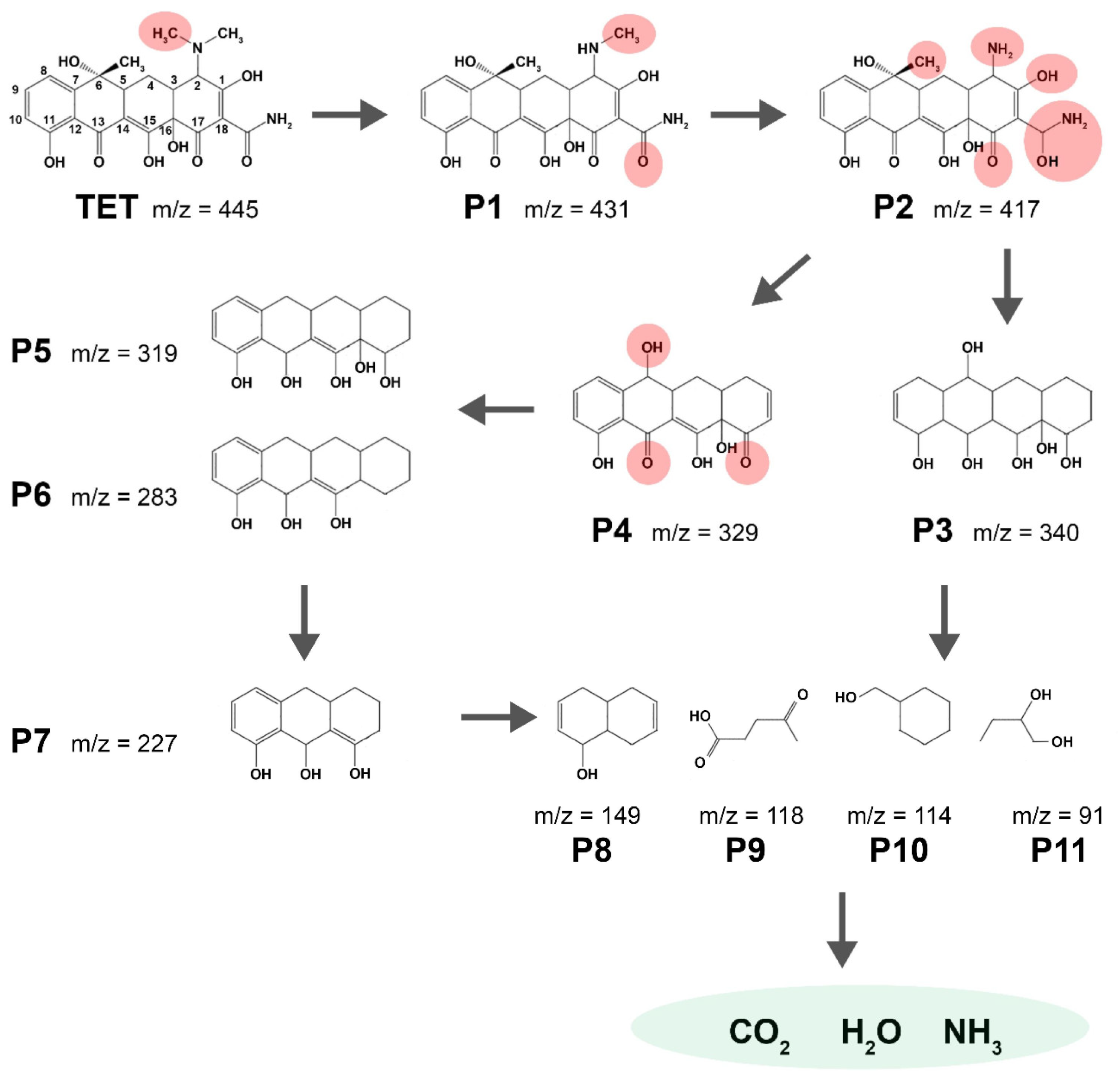 Catalysts 13 01440 g003