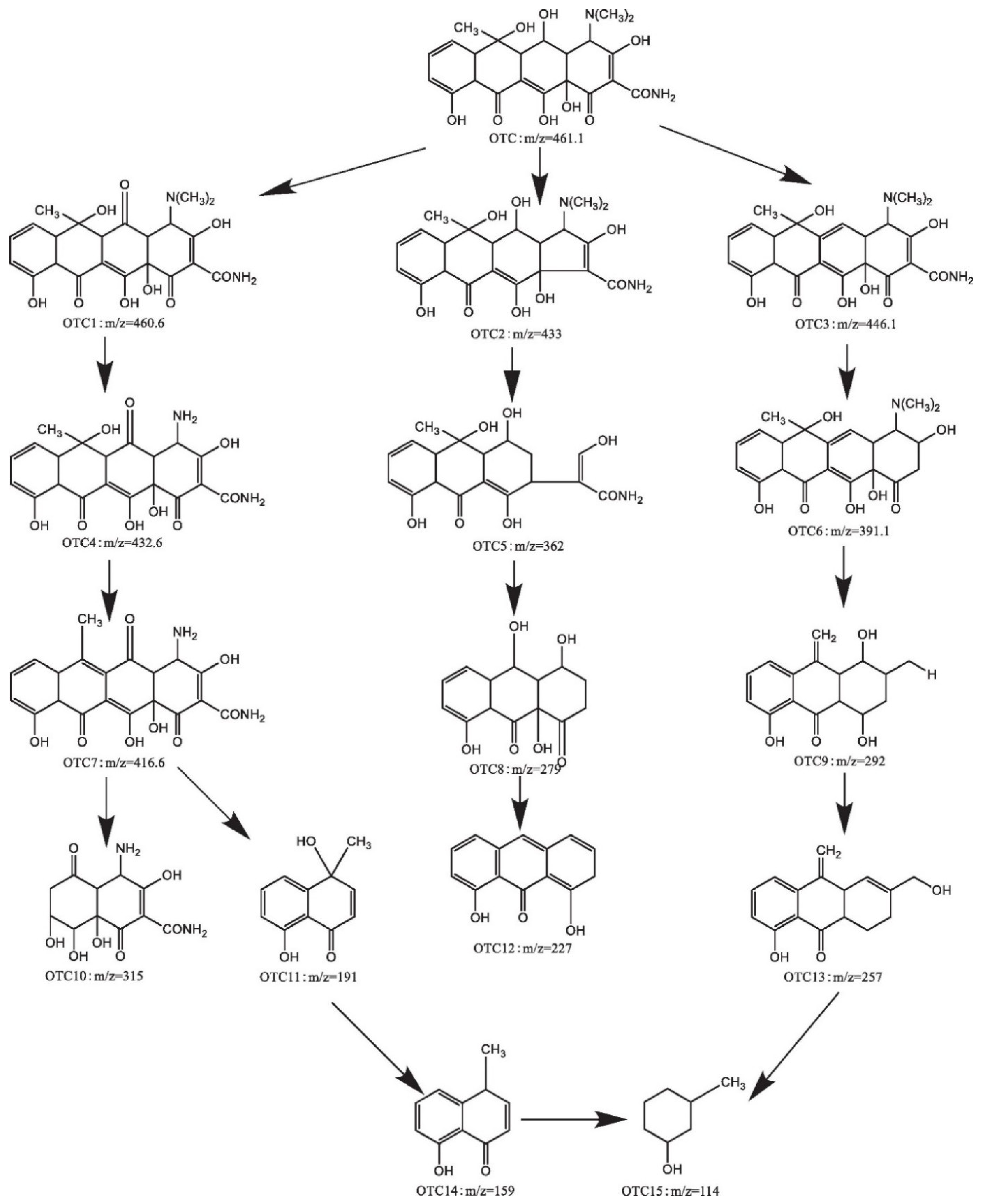 Catalysts 13 01440 g010