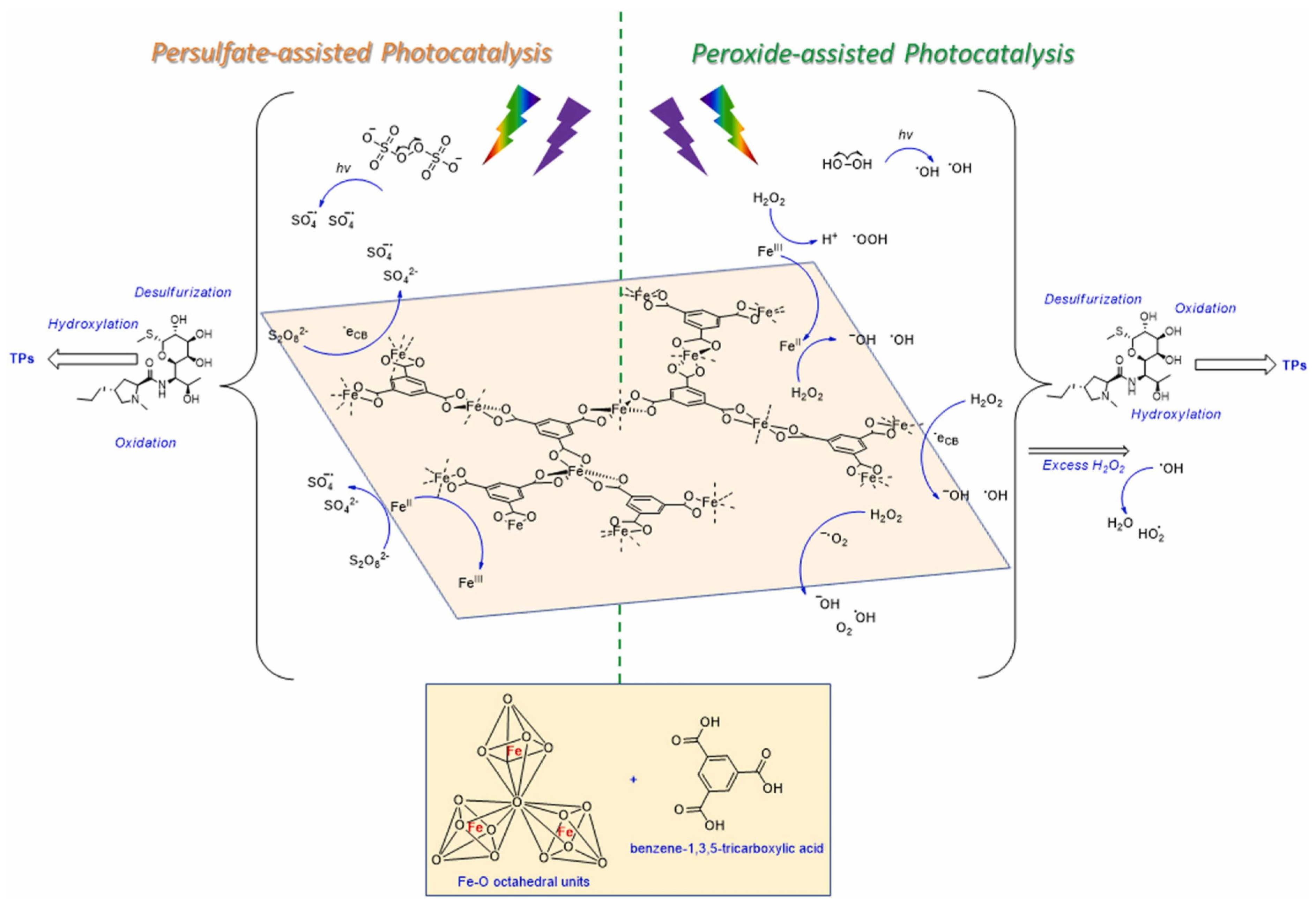 Catalysts 13 01440 g013