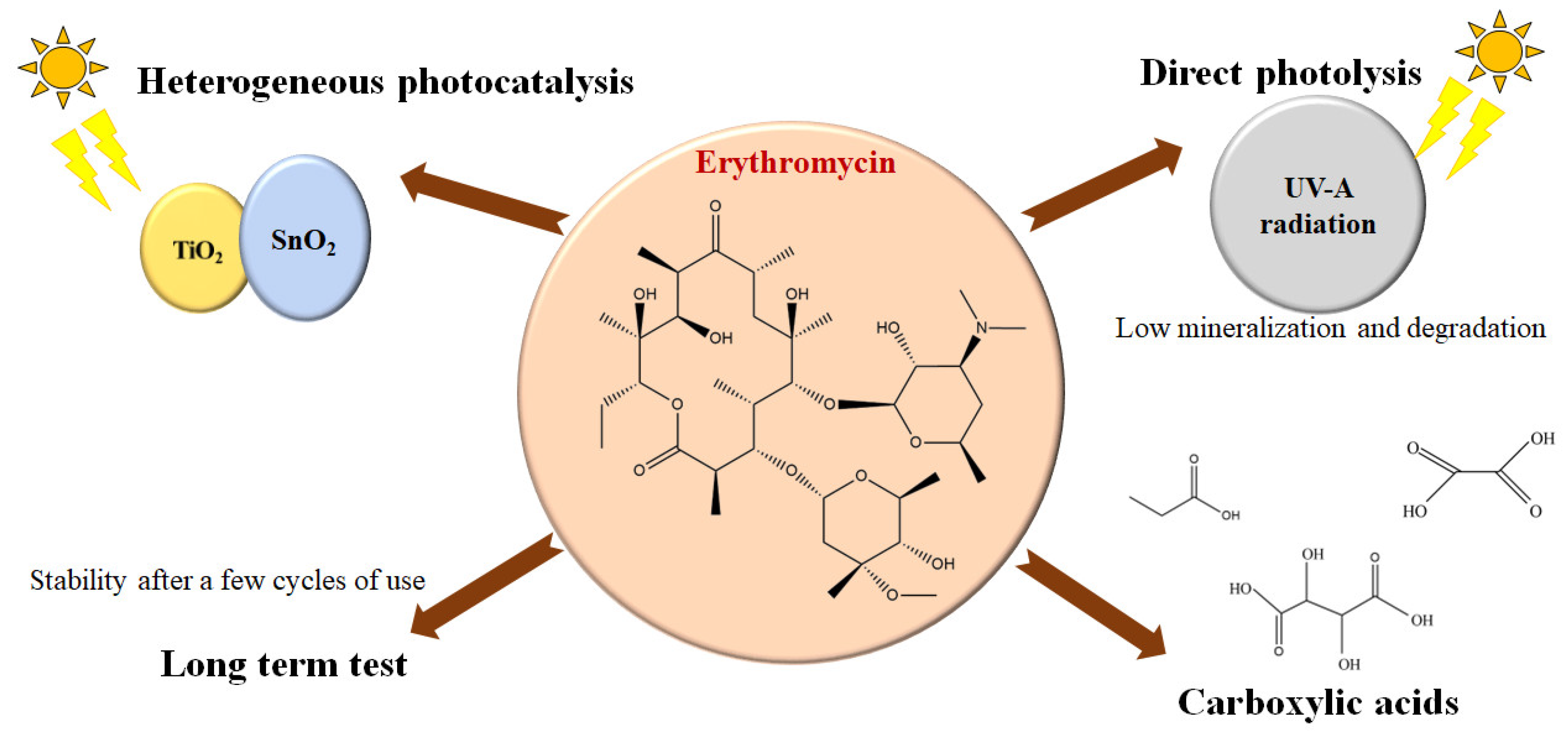 Catalysts 13 01440 g014