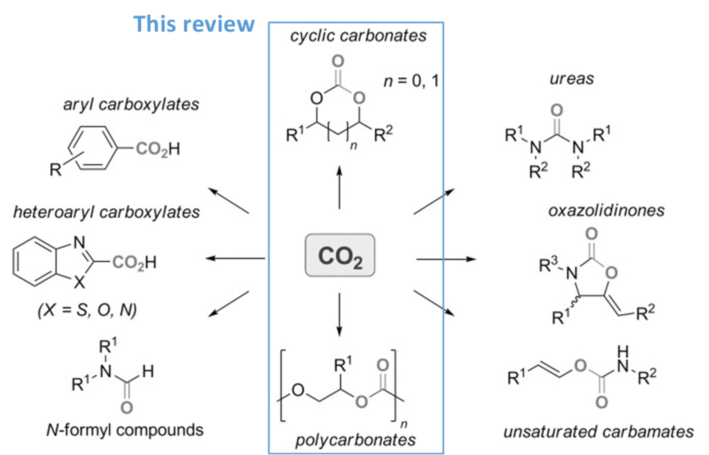 Catalysts 13 01441 sch001