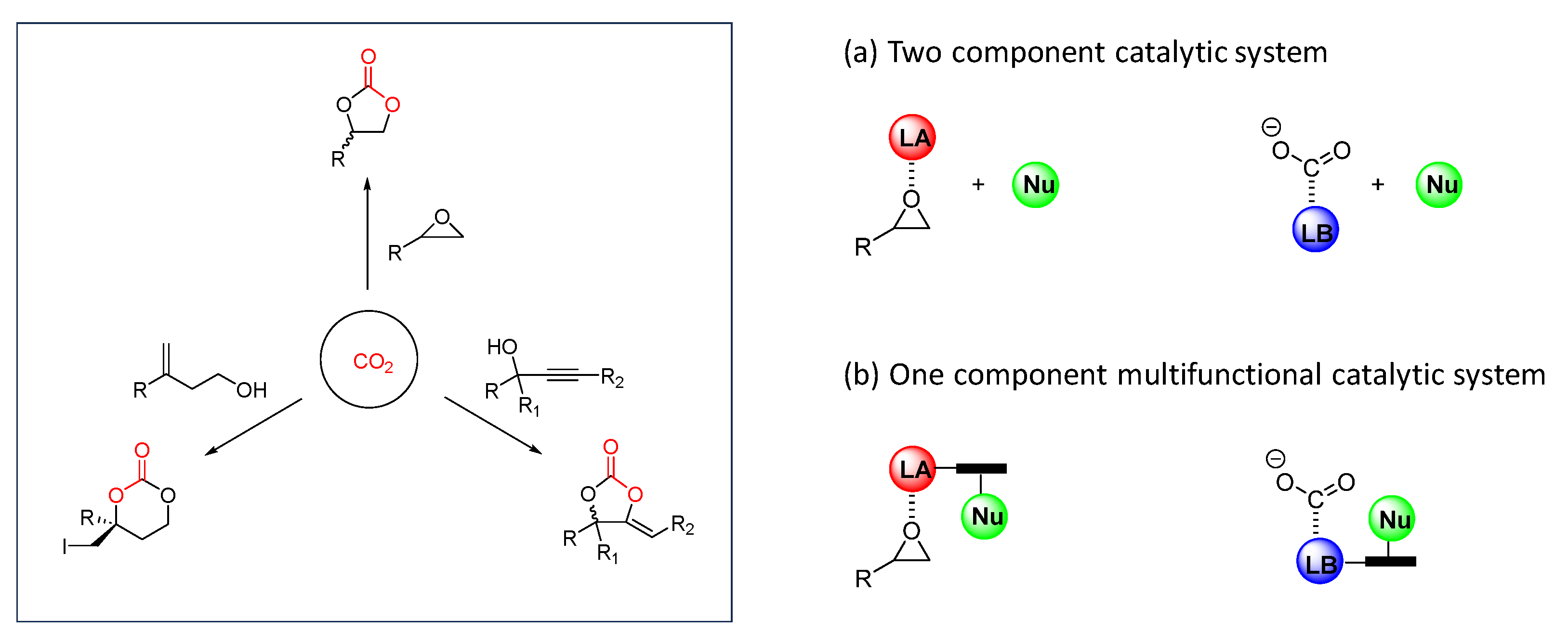 Catalysts 13 01441 sch002