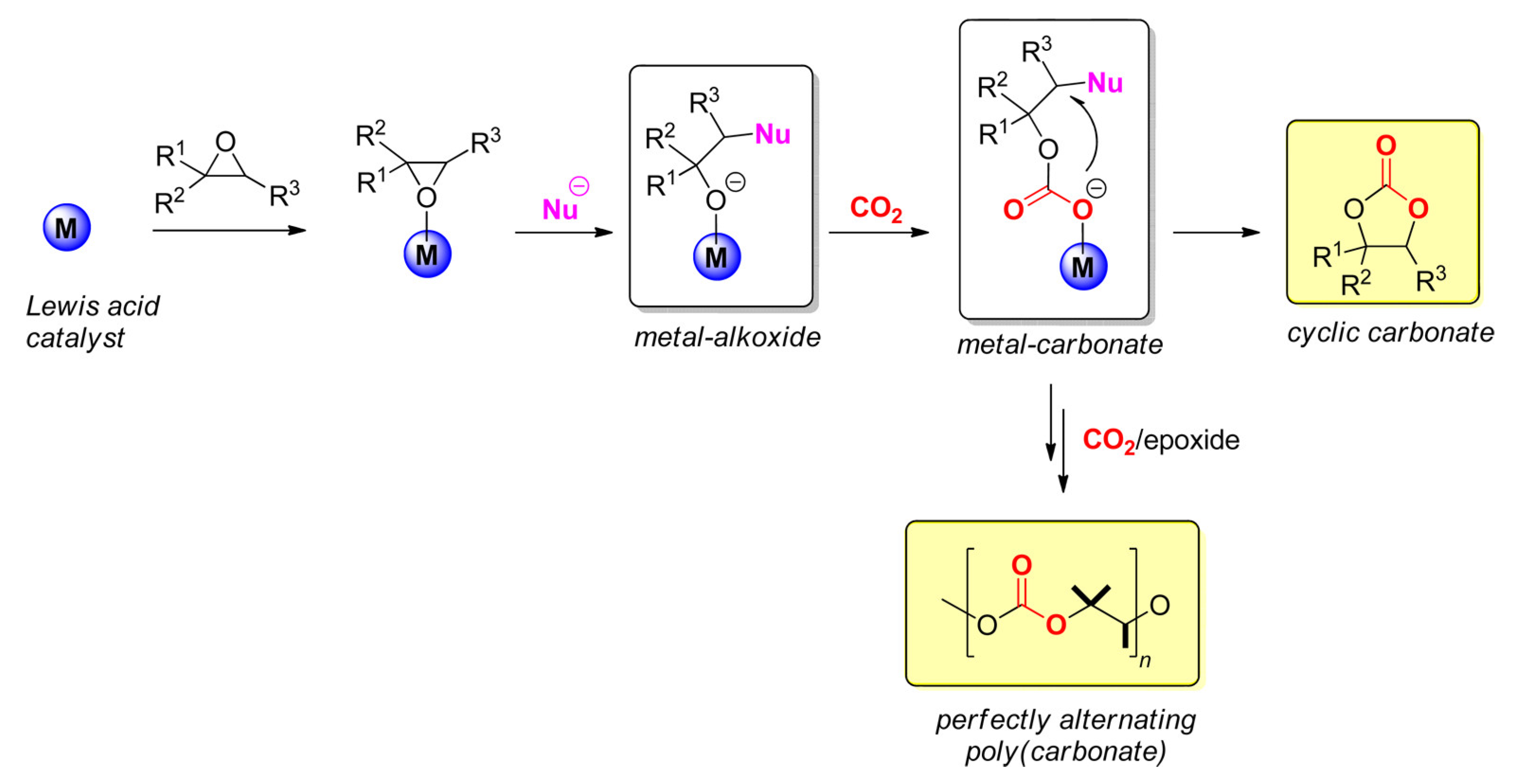 Catalysts 13 01441 sch003