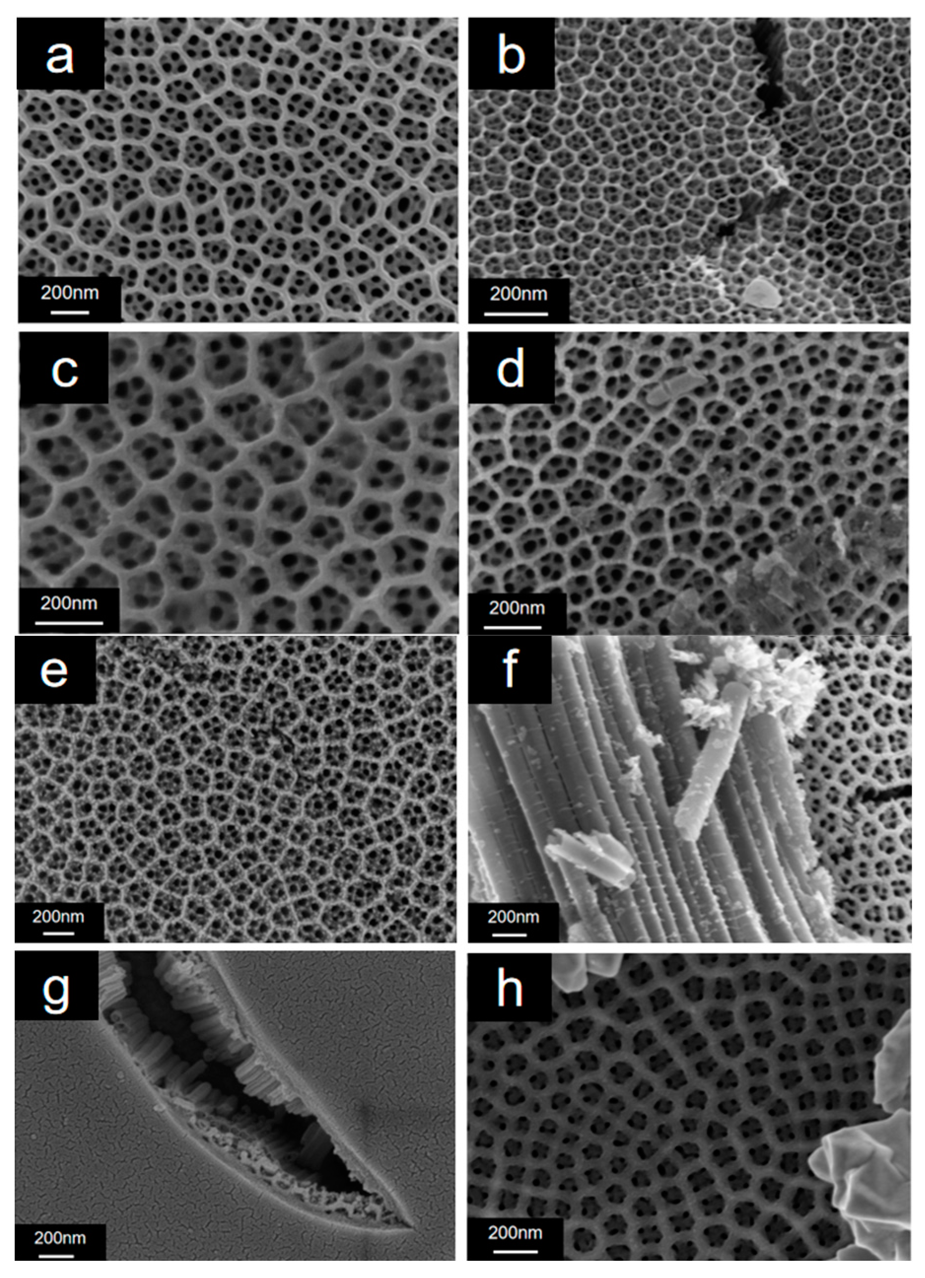 Catalysts 13 01445 g001 Catalysts 13 01445 g001