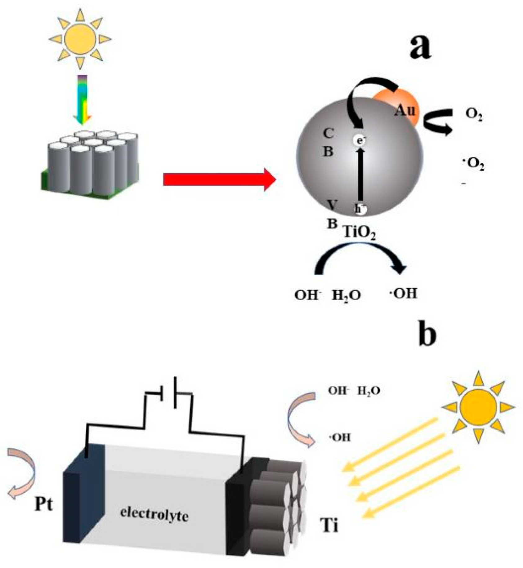 Catalysts 13 01445 sch001 Catalysts 13 01445 sch001