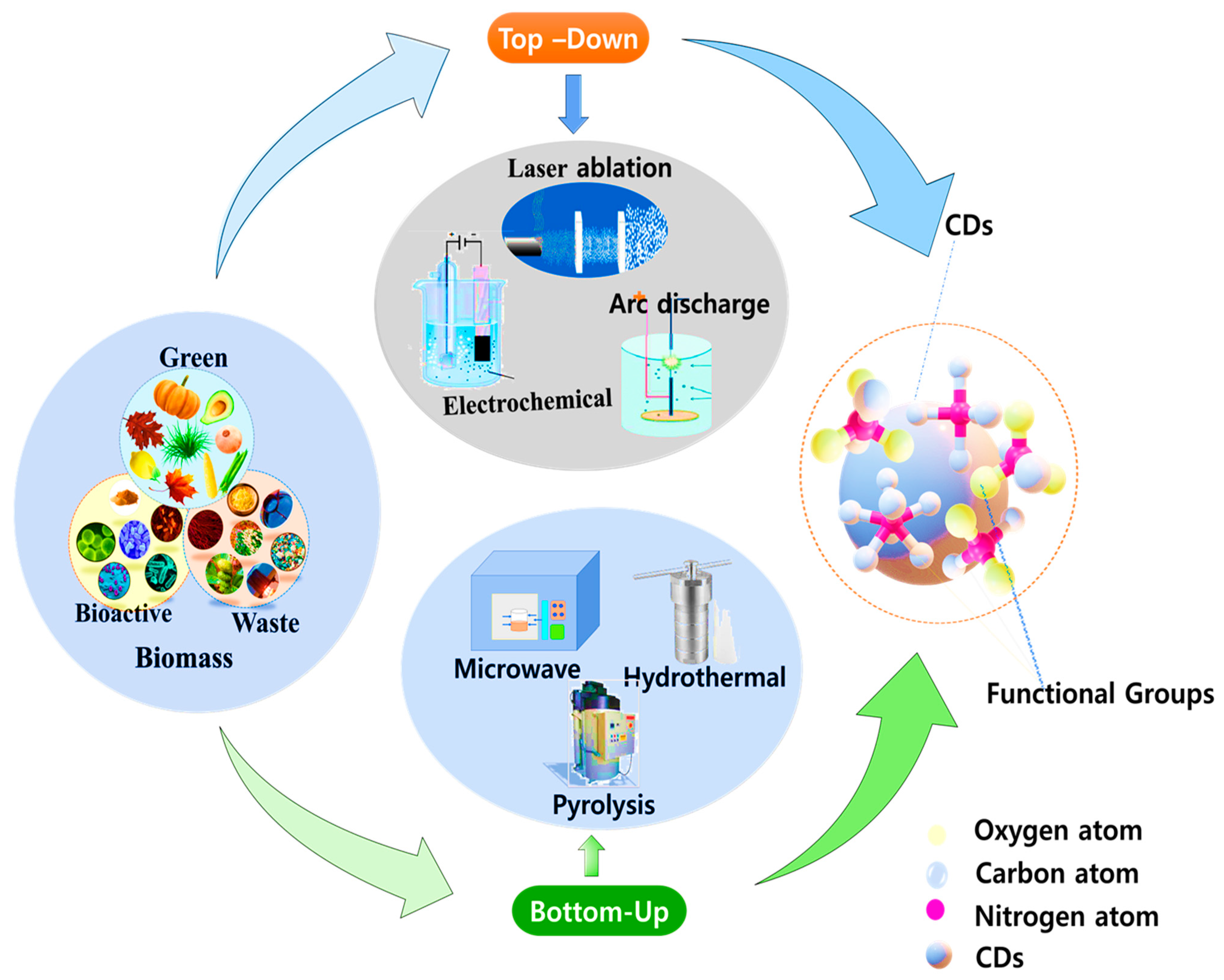 Catalysts 13 01446 g001