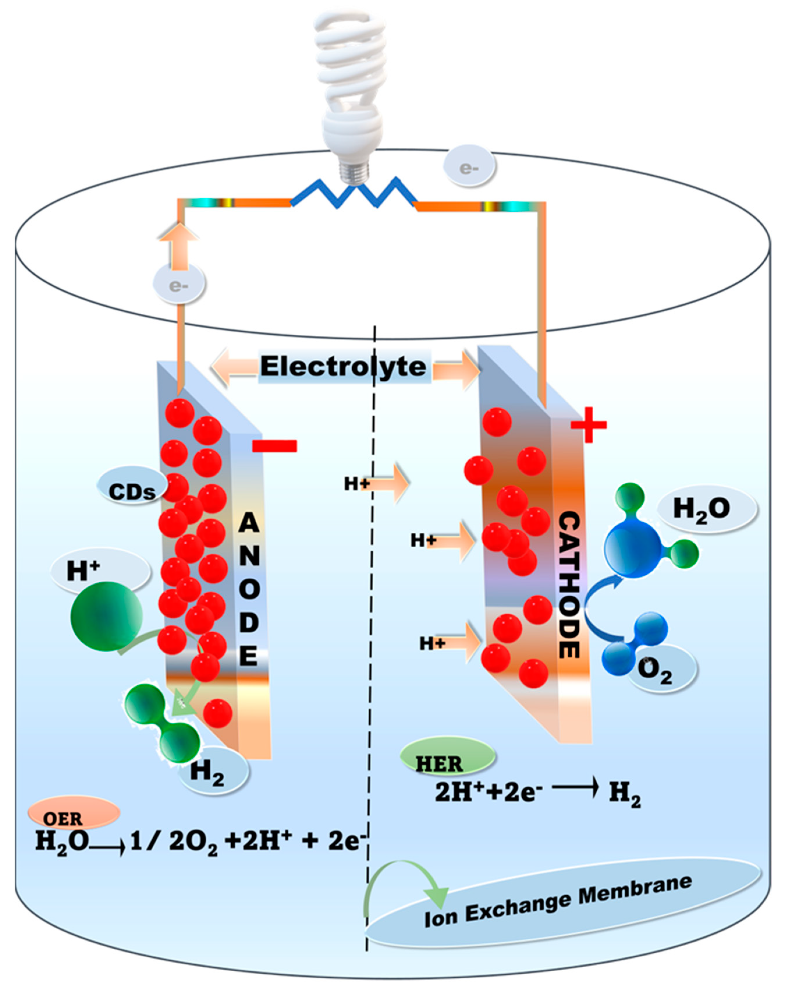 Catalysts 13 01446 g002