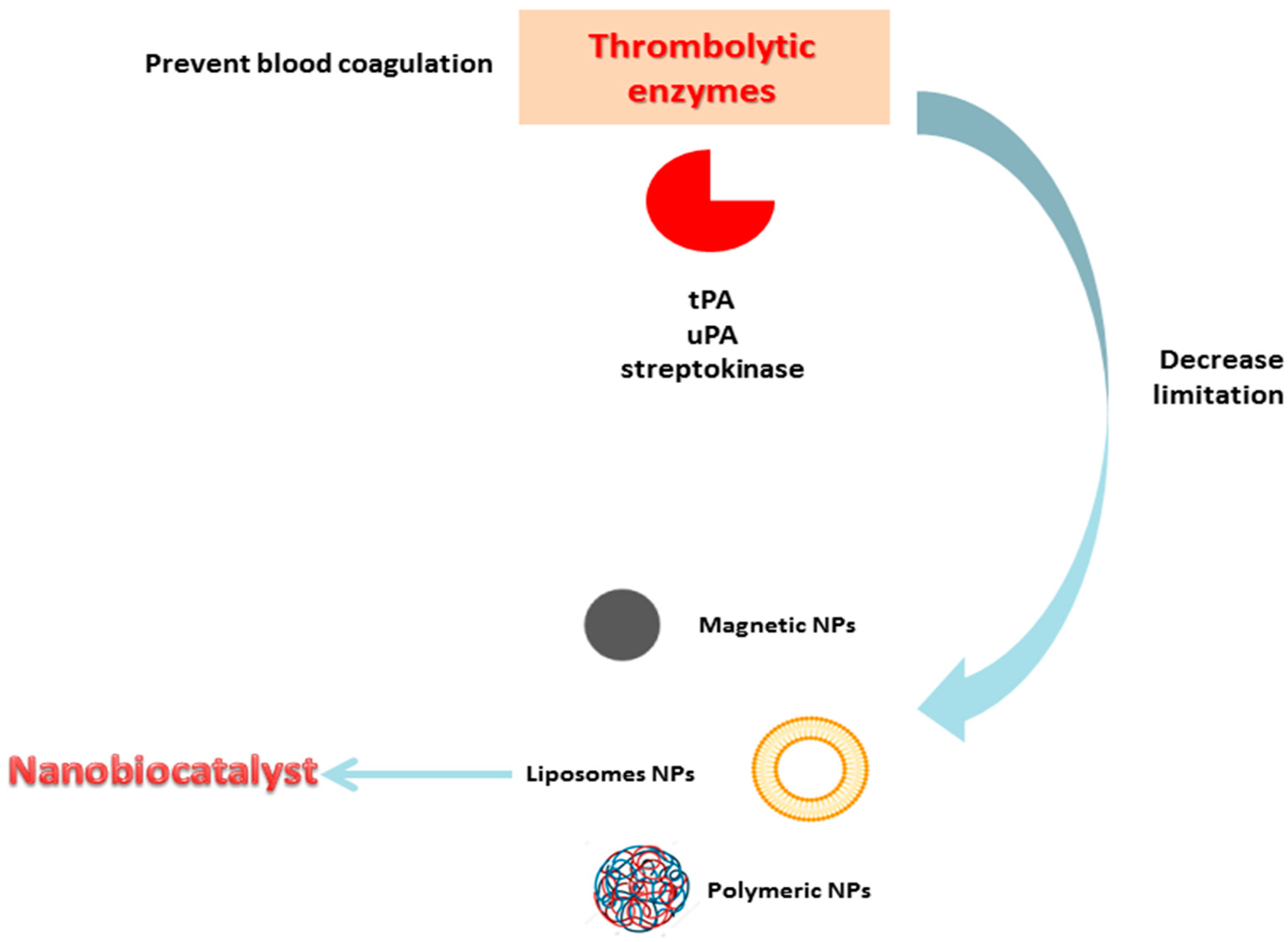 Catalysts 13 01448 g005 Catalysts 13 01448 g005