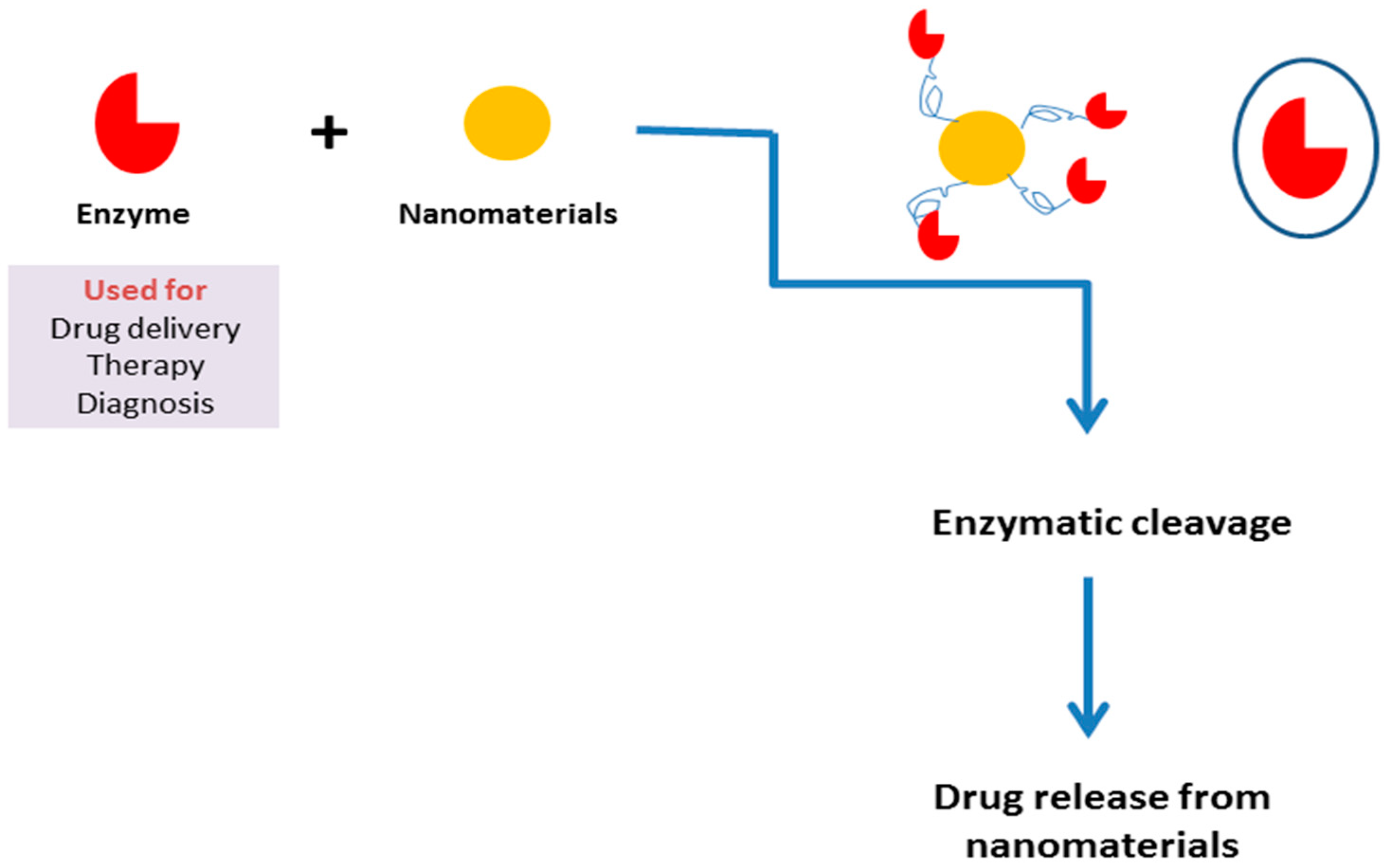 Catalysts 13 01448 g006 Catalysts 13 01448 g006