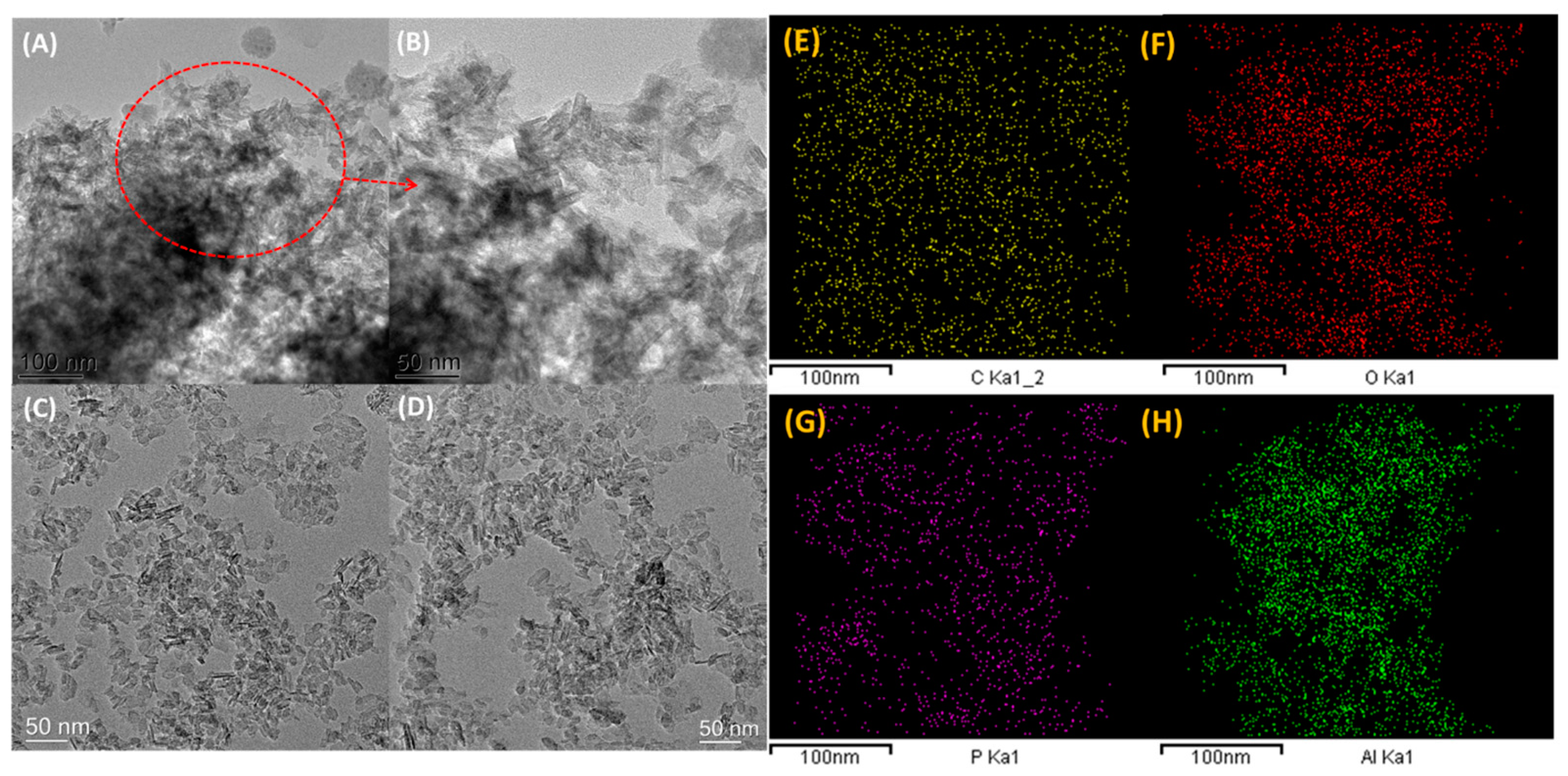 Catalysts 13 01449 g003