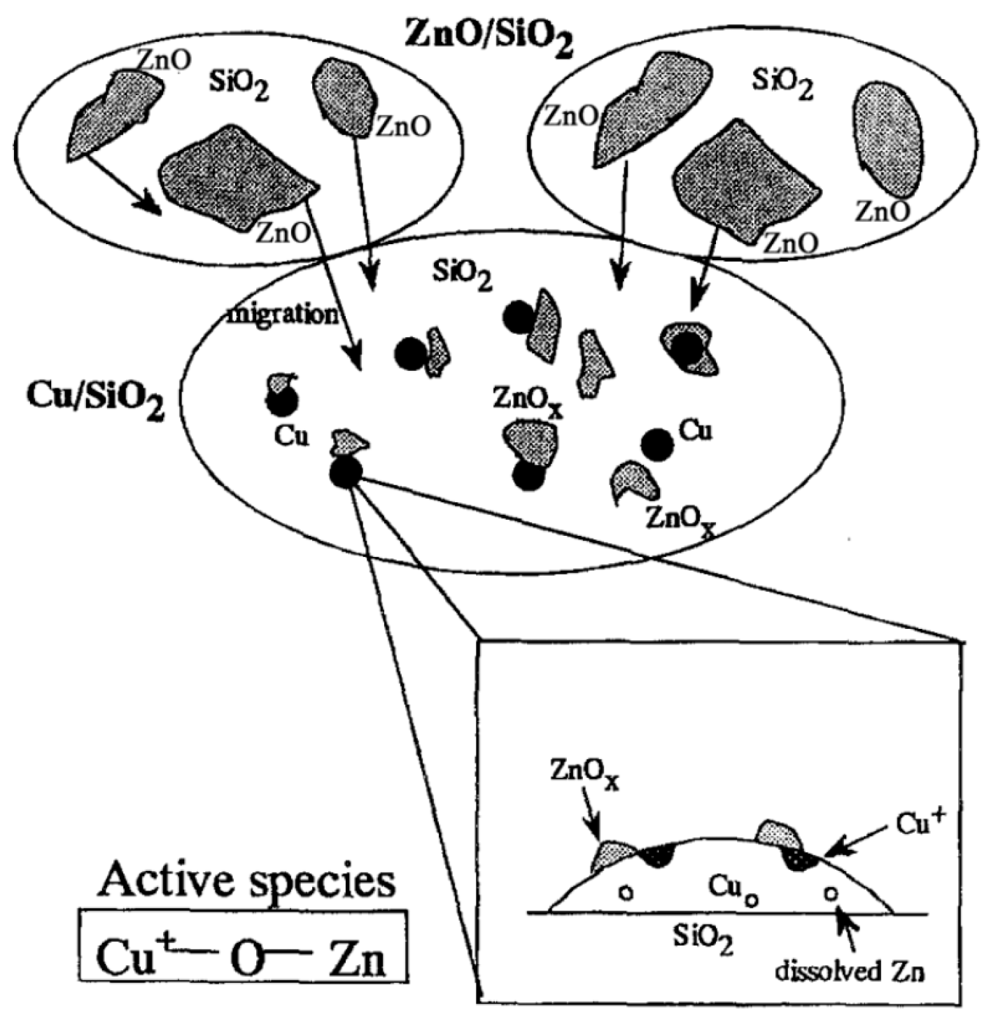 Catalysts 13 01452 g015