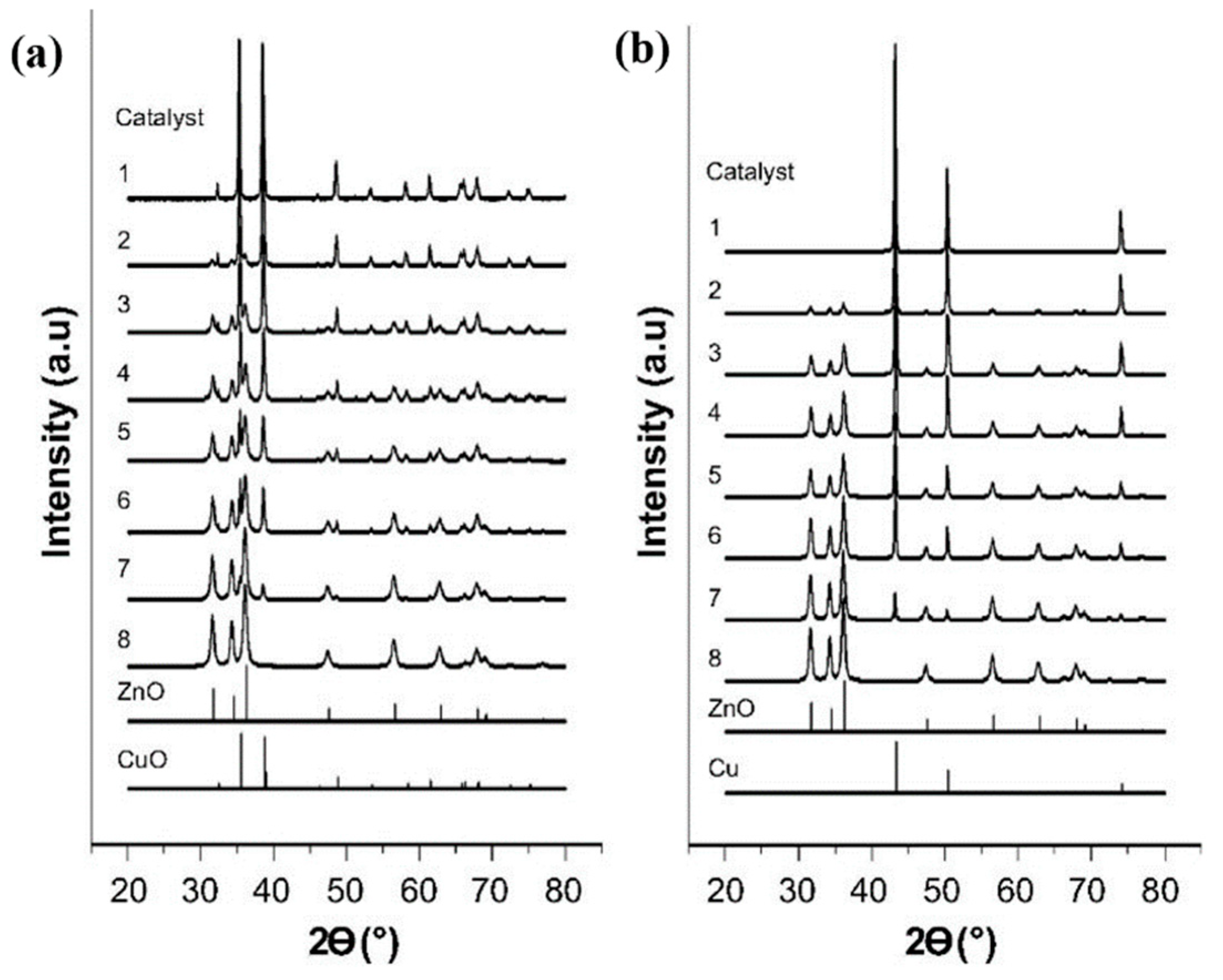 Catalysts 13 01452 g016
