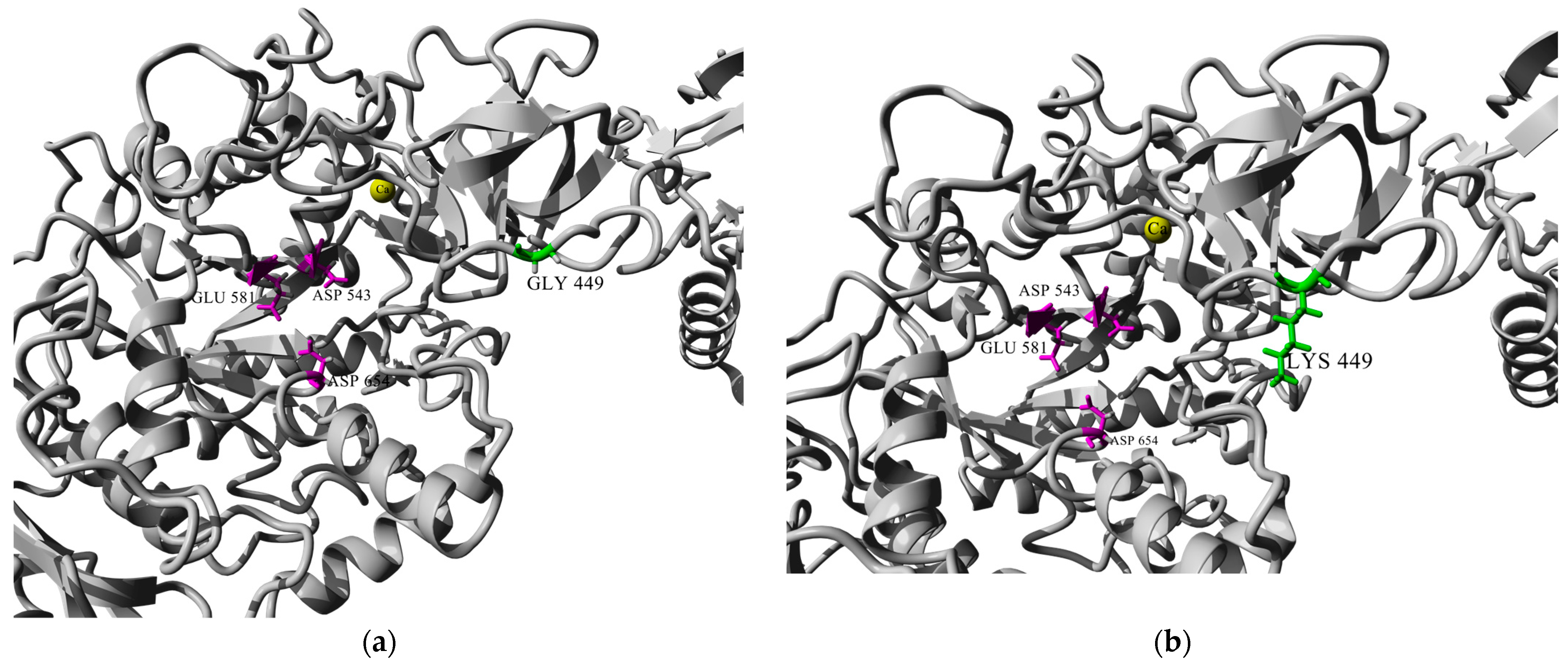 Catalysts 13 01455 g003