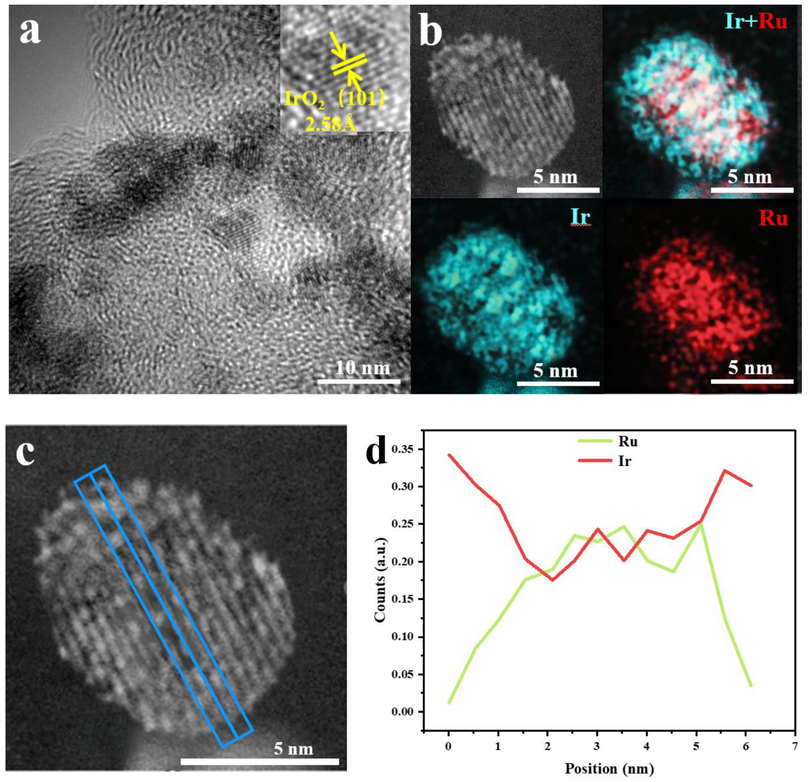 Catalysts 13 01456 g004