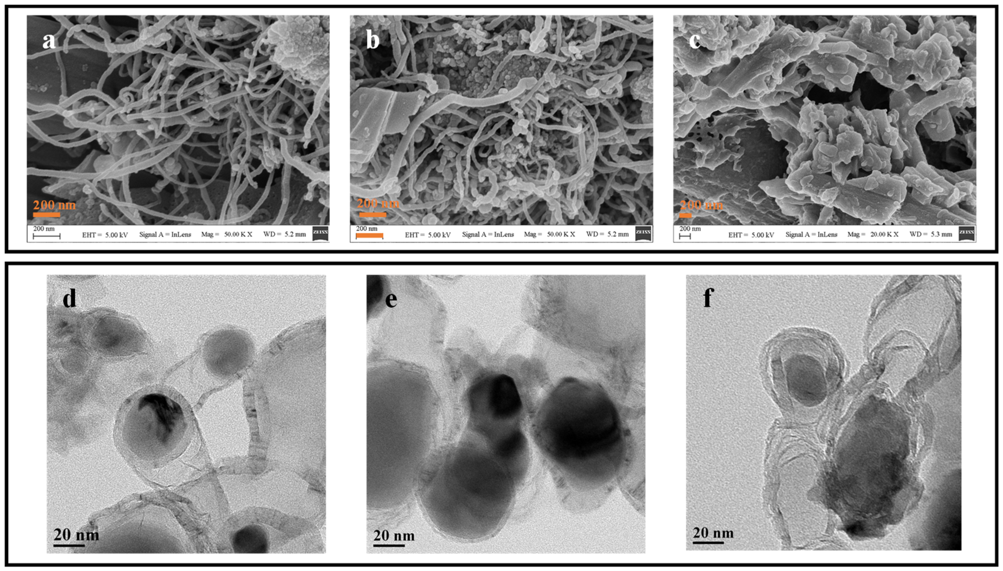 Catalysts 13 01459 g001