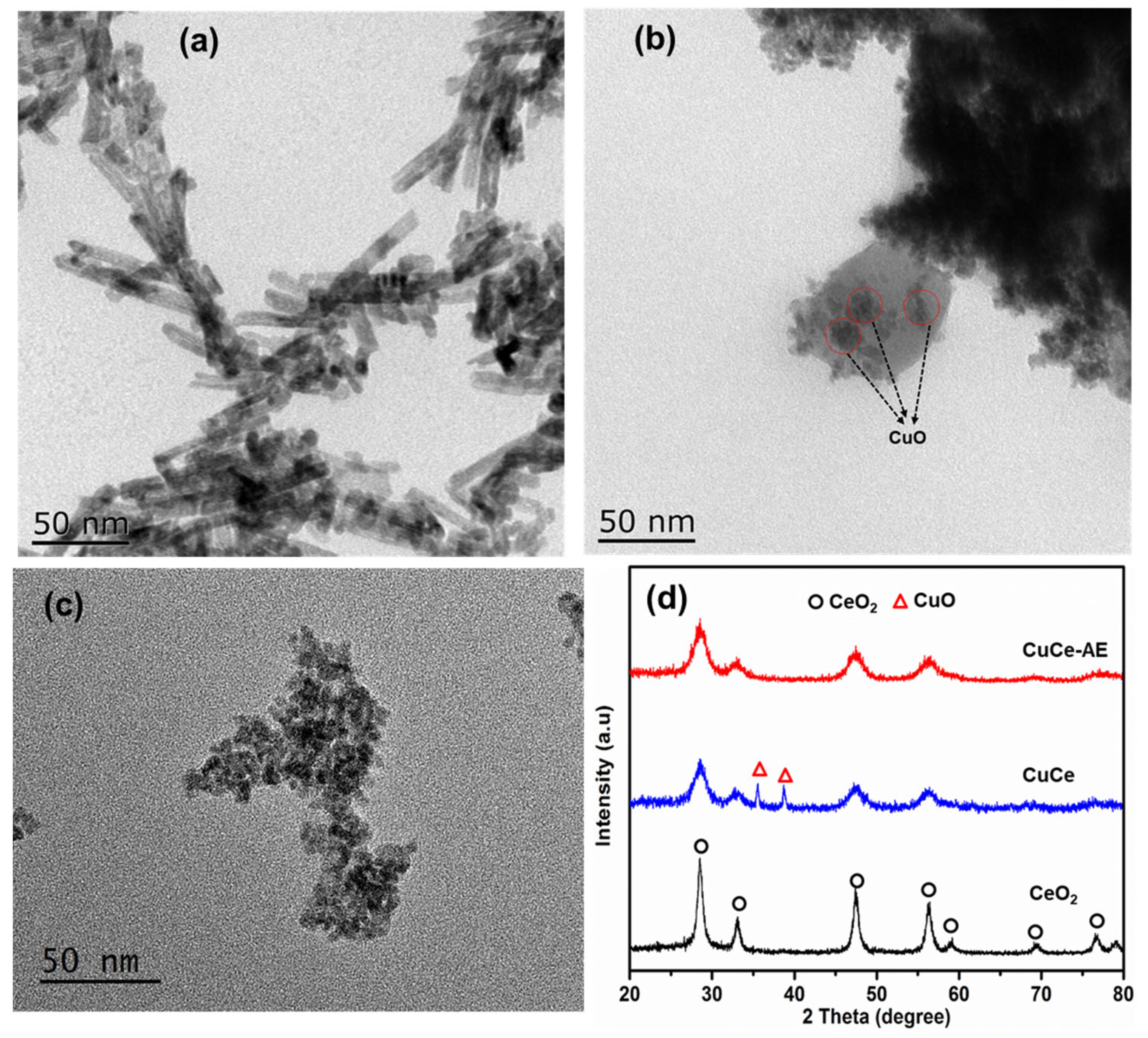 Catalysts 13 01463 g002