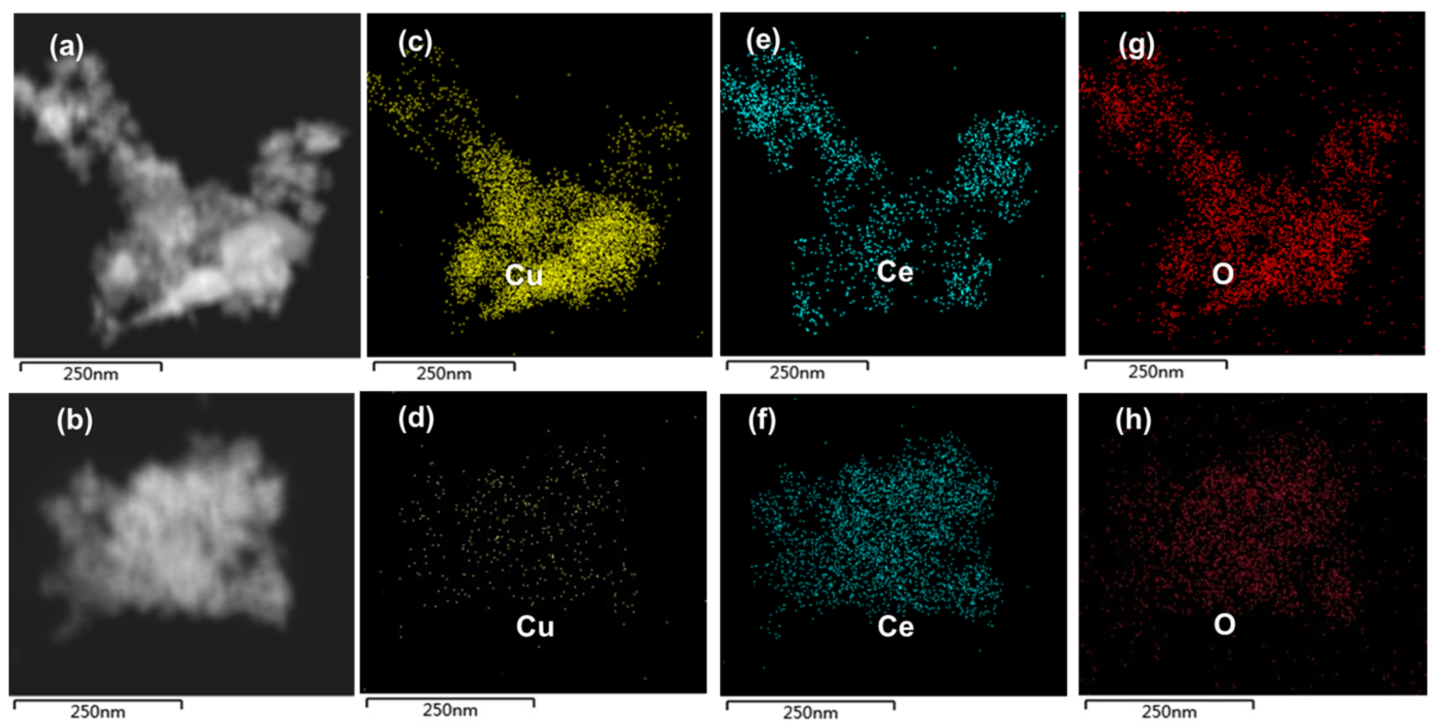 Catalysts 13 01463 g003
