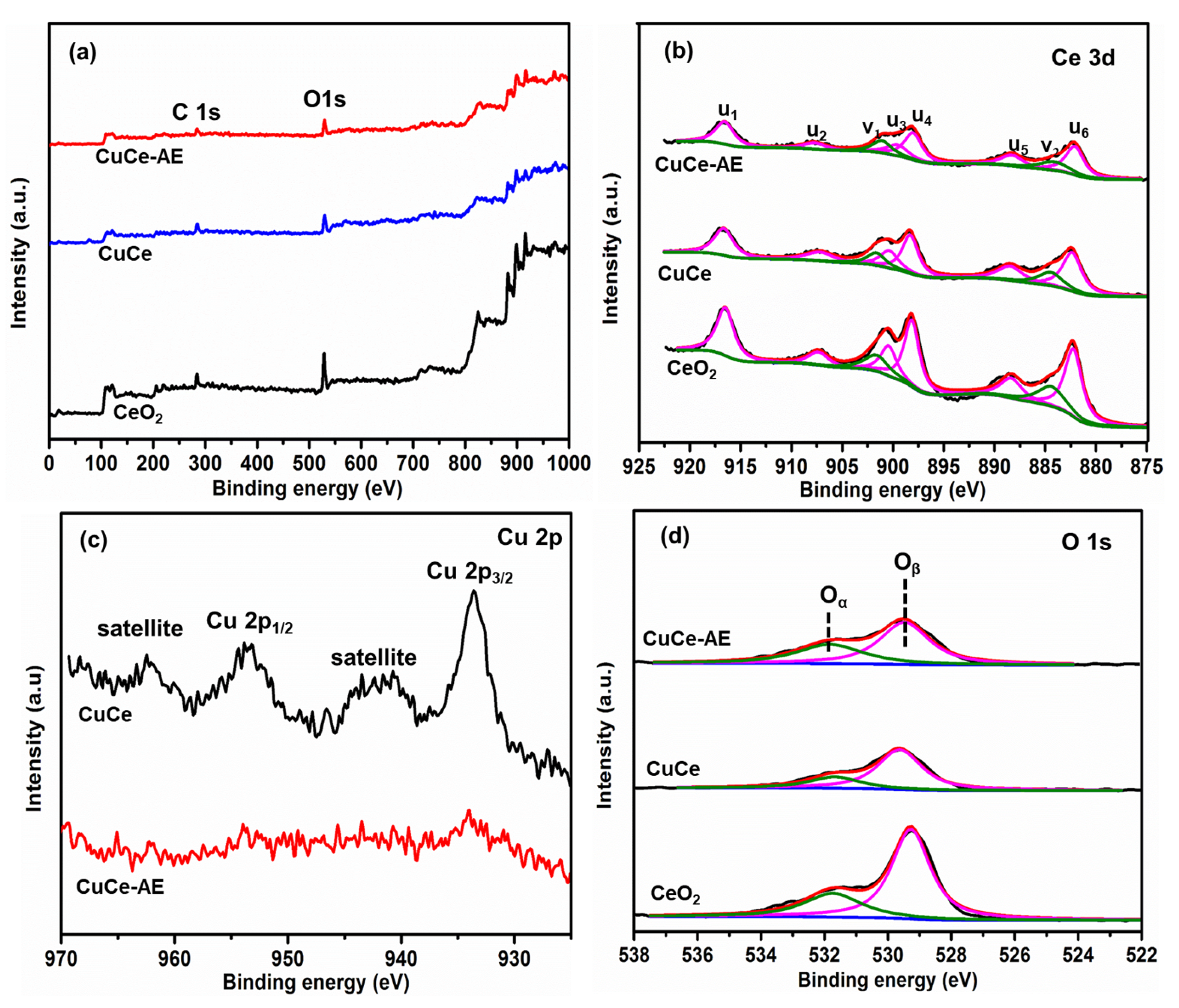 Catalysts 13 01463 g005