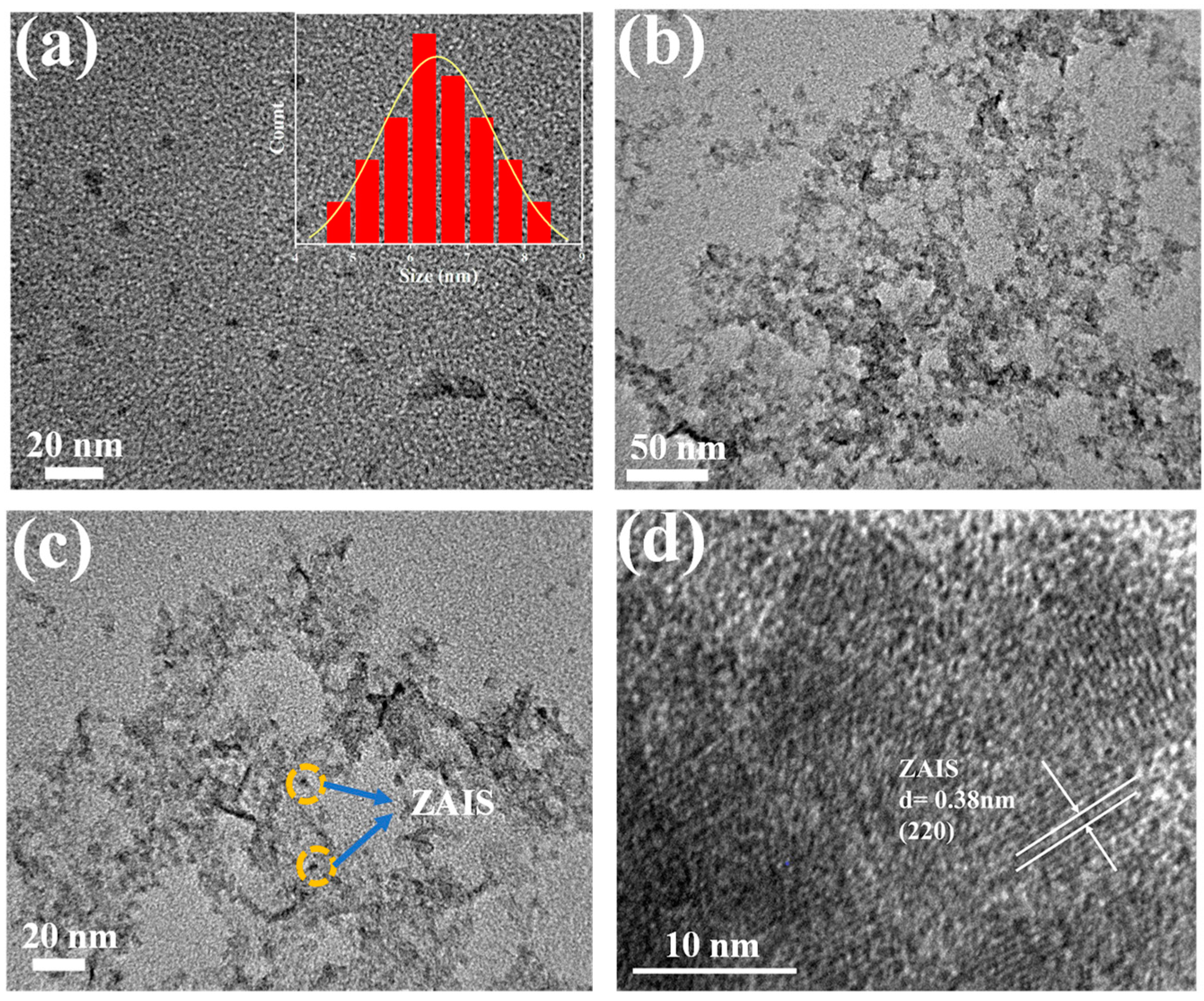 Catalysts 13 01471 g002