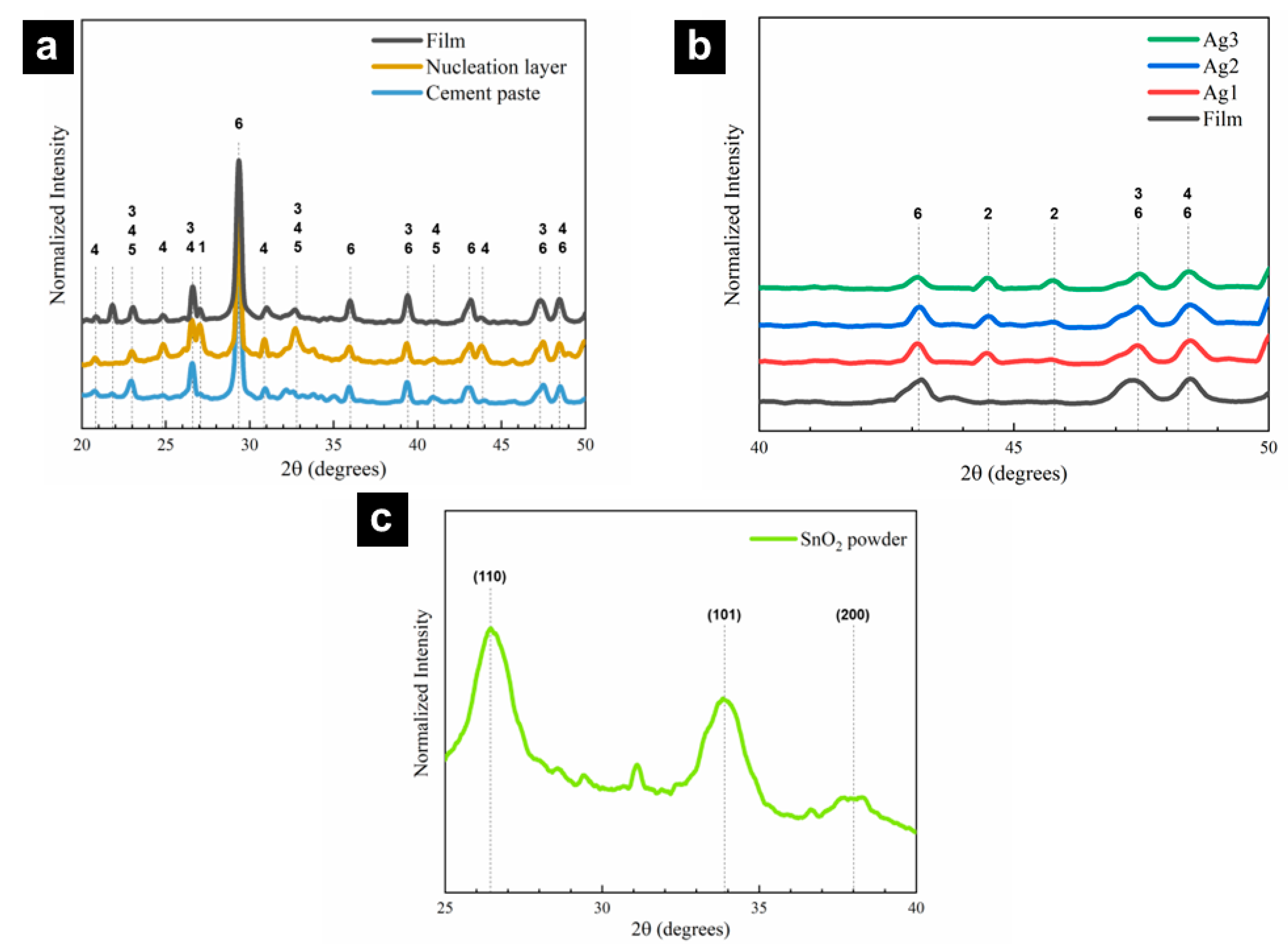 Catalysts 13 01479 g002