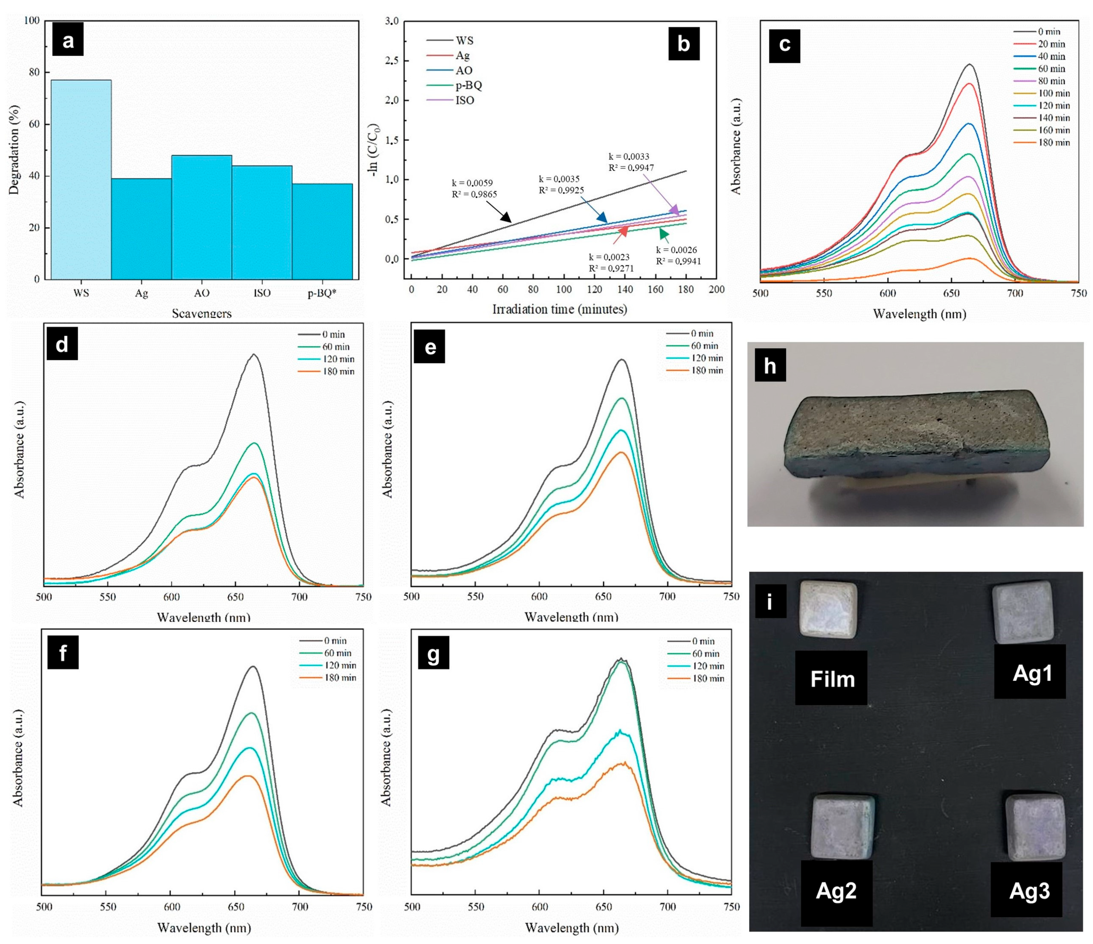 Catalysts 13 01479 g005