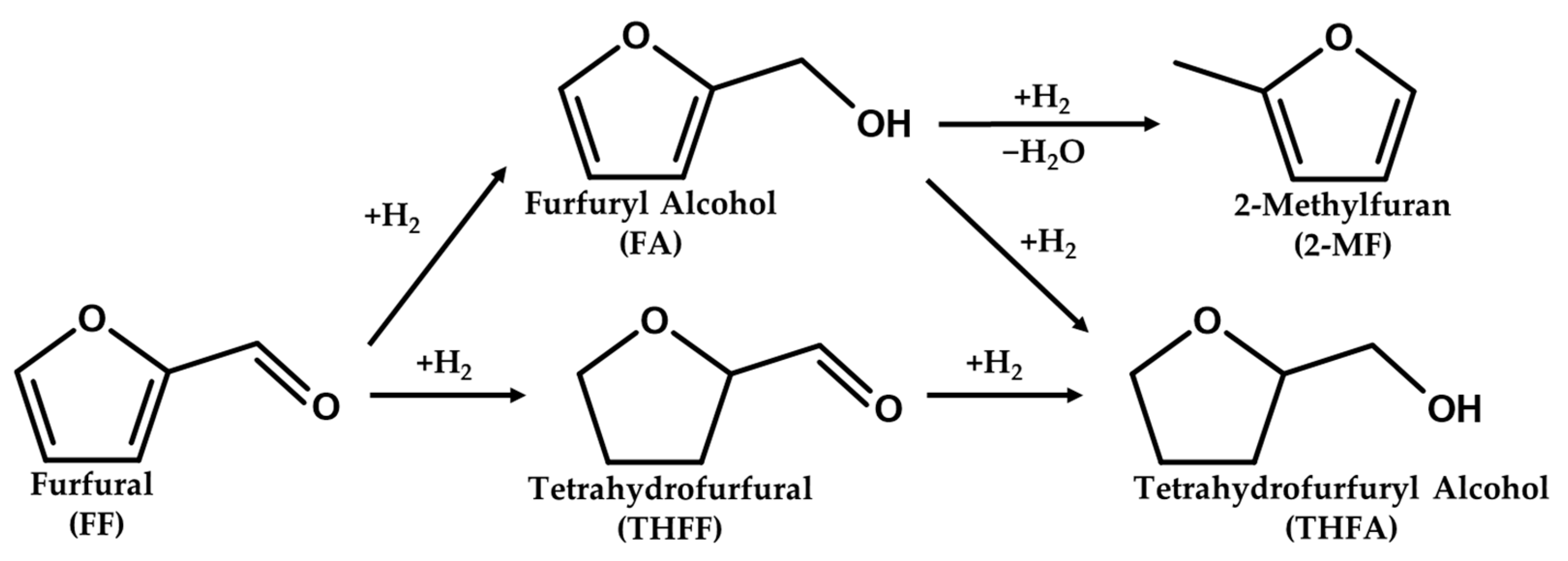 Catalysts 13 01481 g010 Catalysts 13 01481 g010