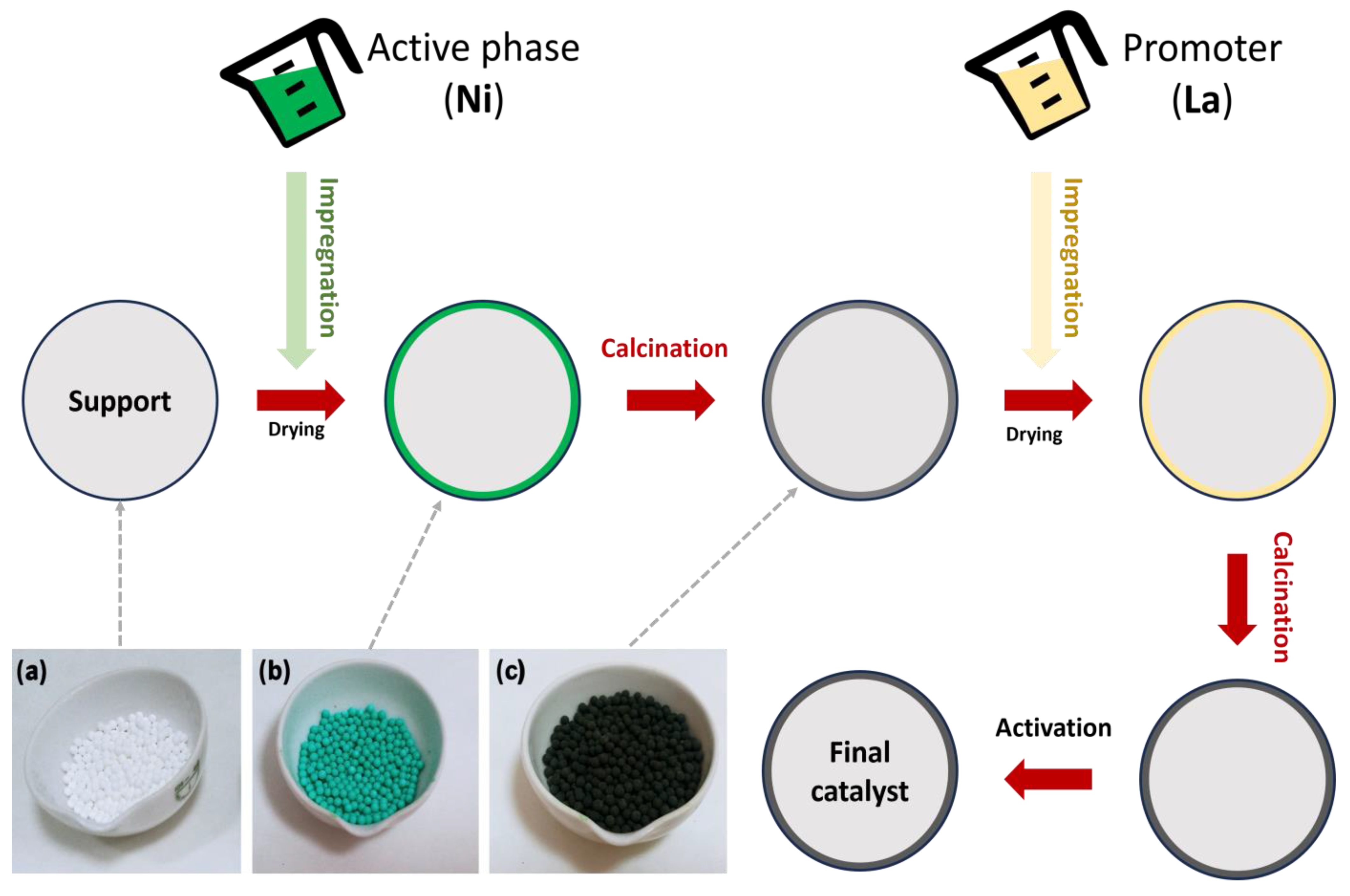 Catalysts 13 01482 g006