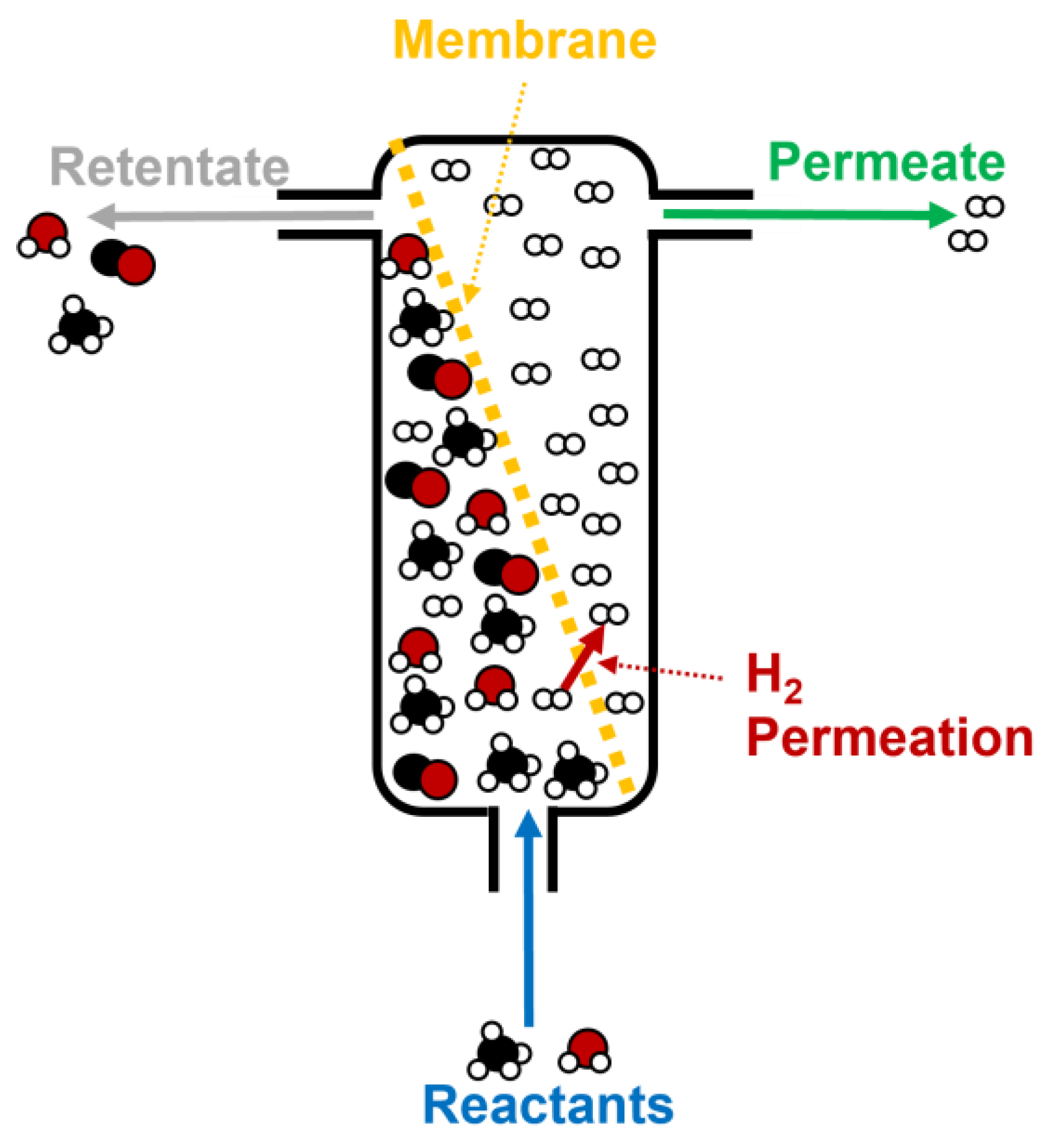 Catalysts 13 01482 g014