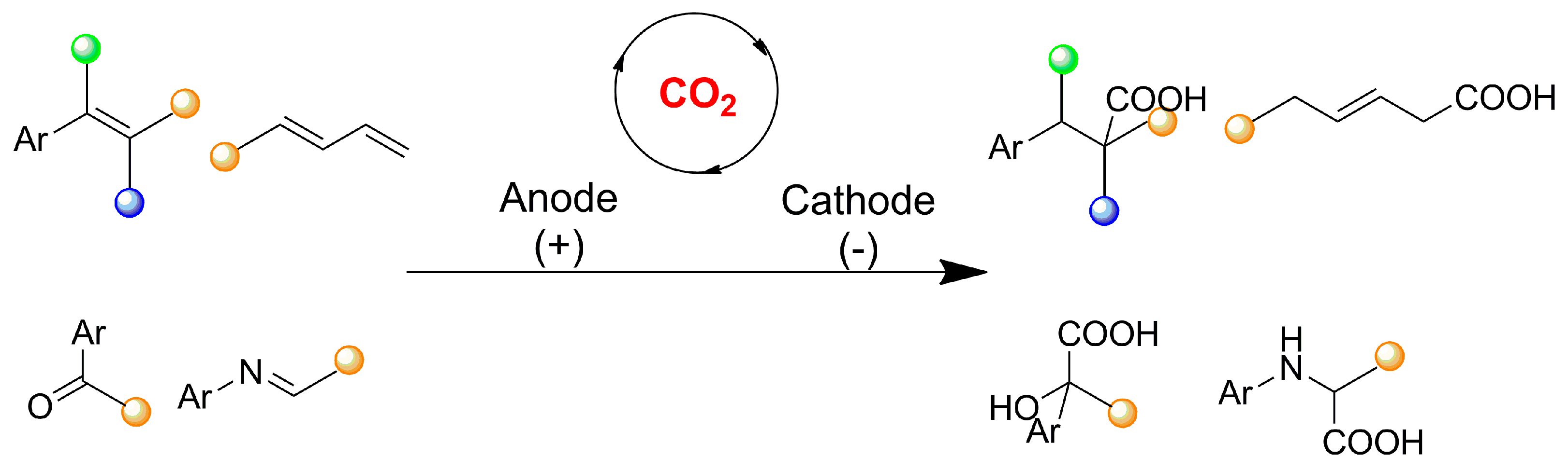 Catalysts 13 01489 g003