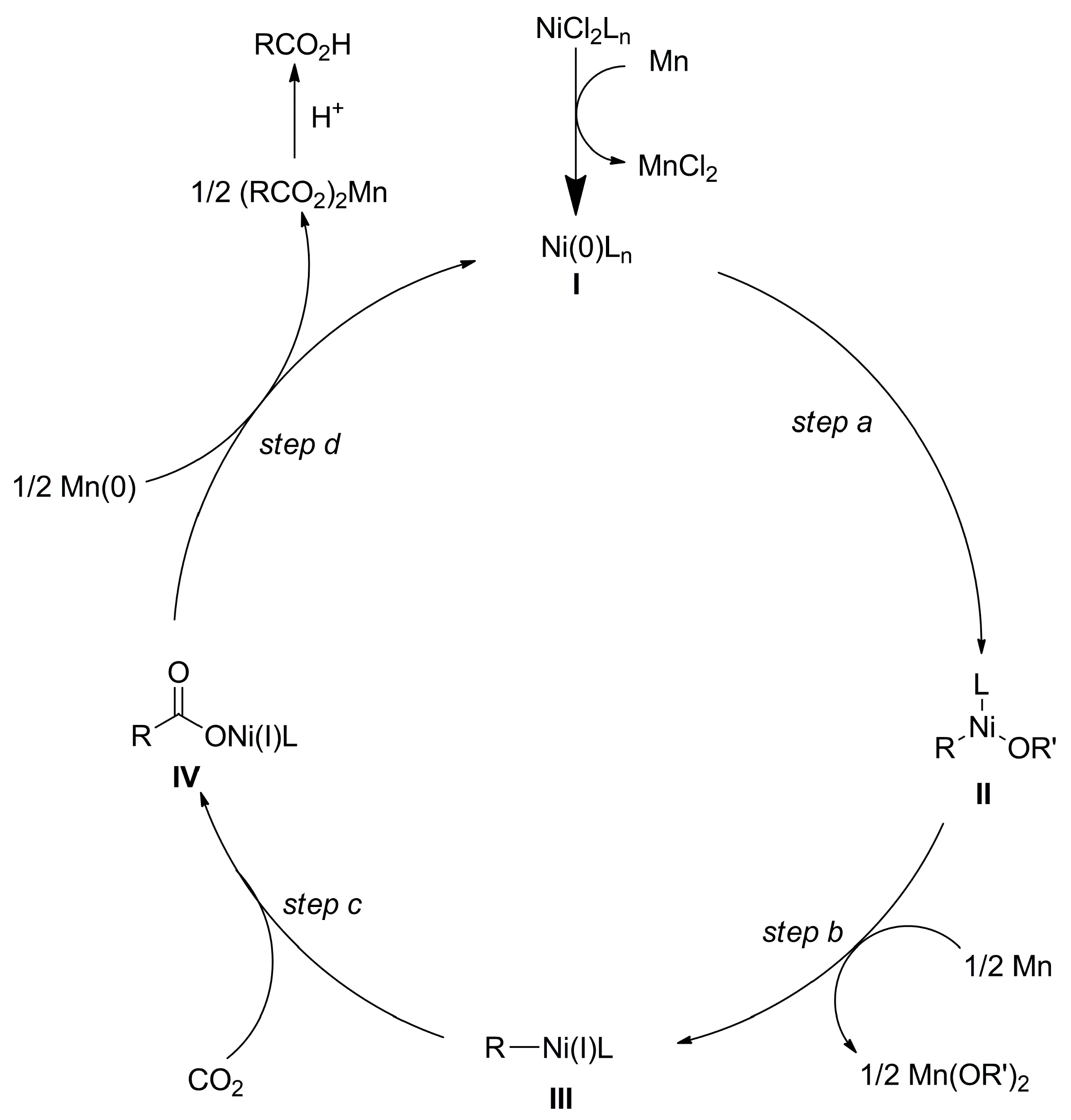 Catalysts 13 01489 sch005