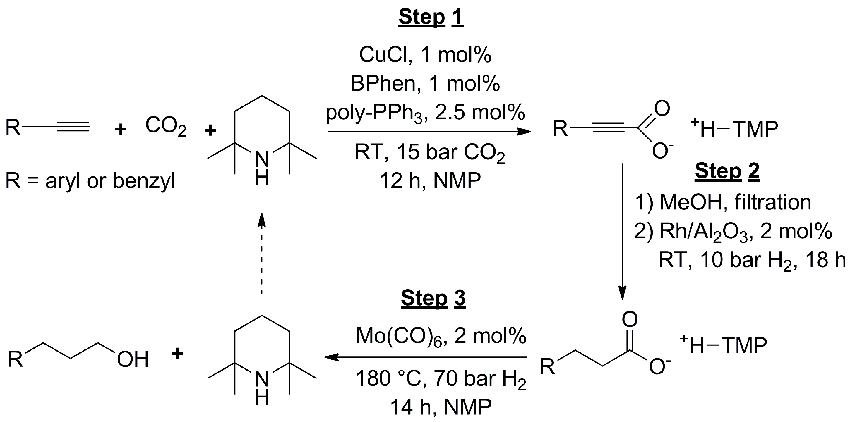 Catalysts 13 01489 sch009