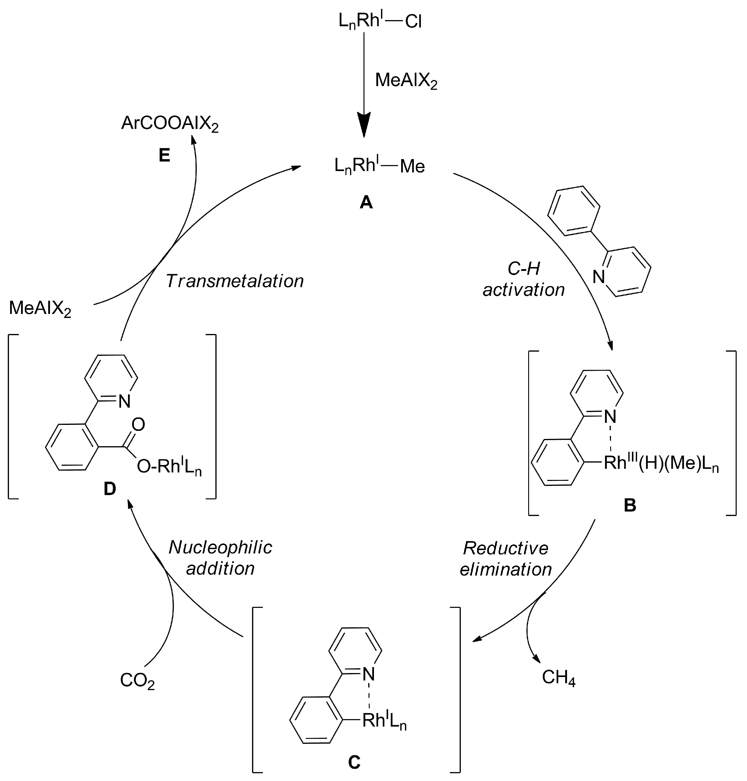 Catalysts 13 01489 sch011