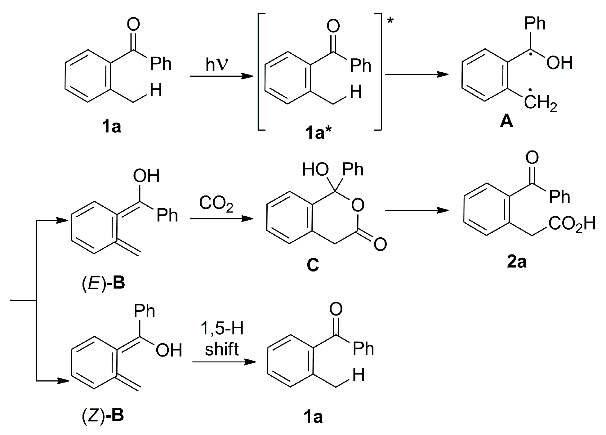 Catalysts 13 01489 sch015