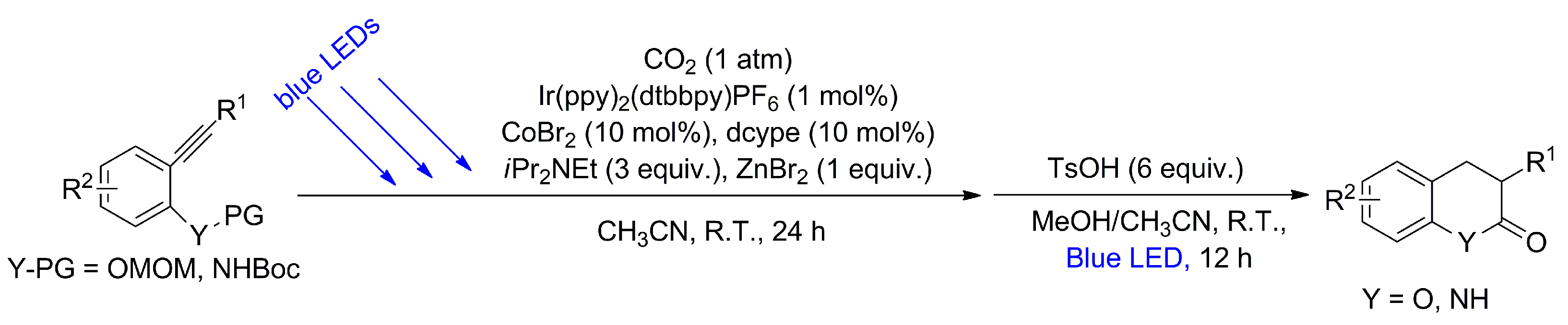 Catalysts 13 01489 sch017