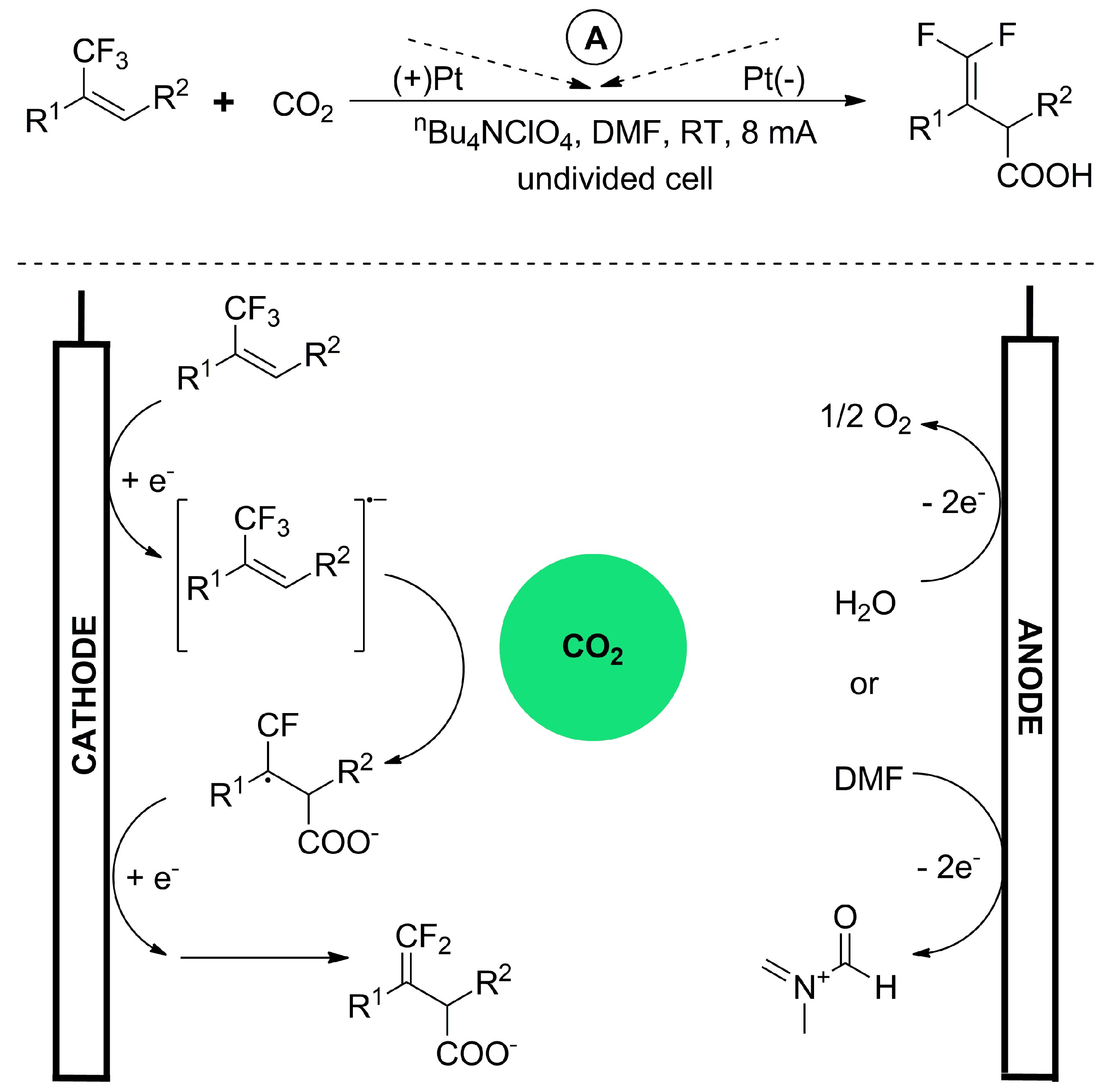 Catalysts 13 01489 sch019