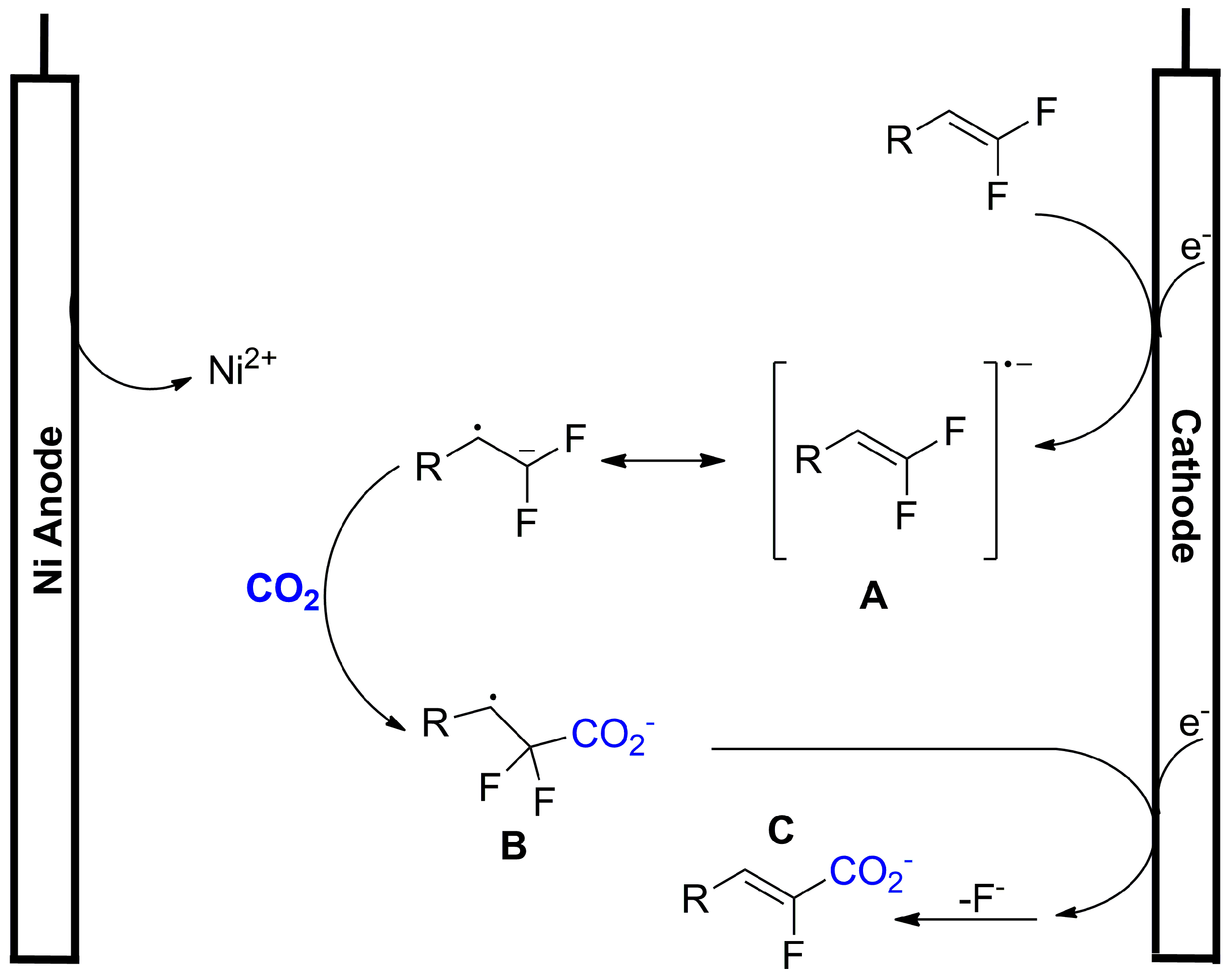 Catalysts 13 01489 sch021