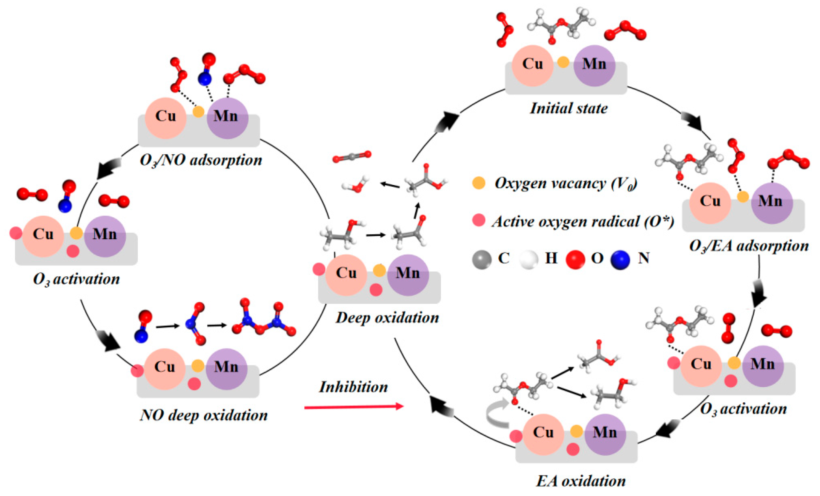 Catalysts 13 01491 g010
