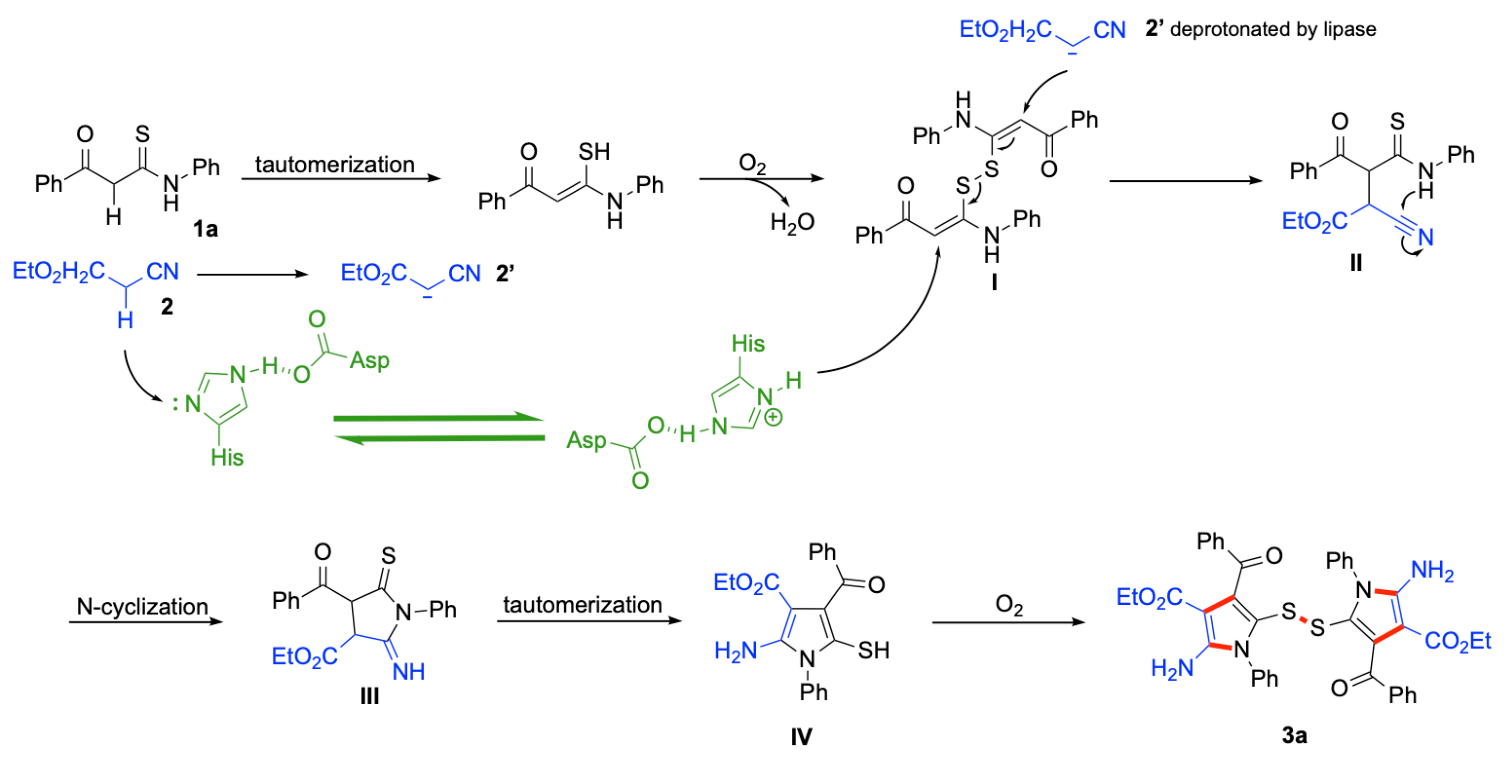 Catalysts 13 01493 sch002