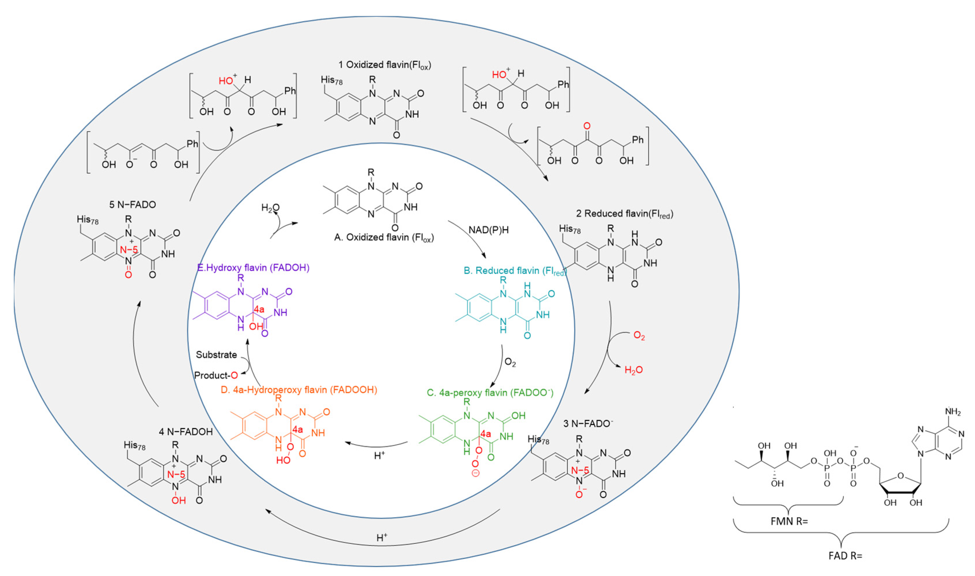 Catalysts 13 01495 g001