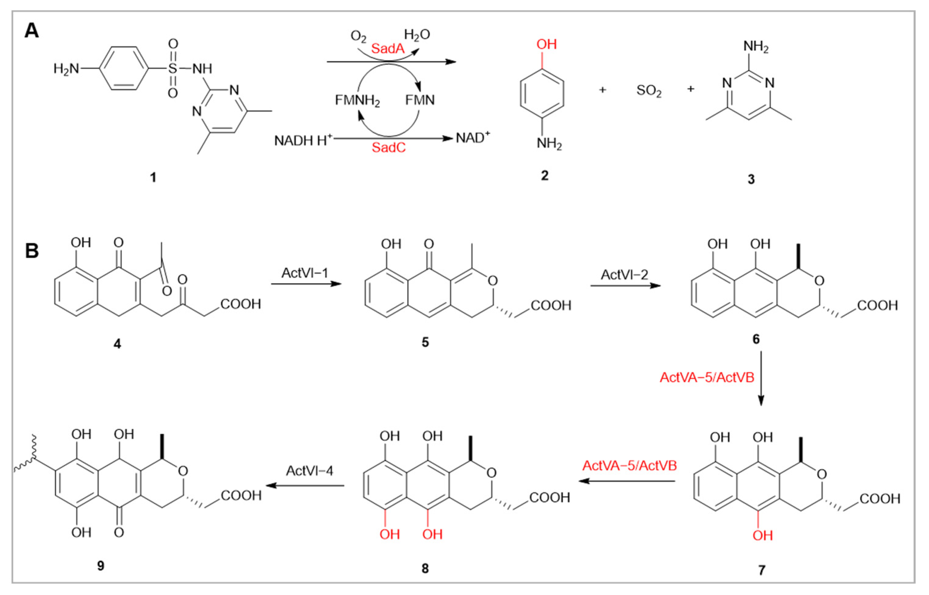 Catalysts 13 01495 g002